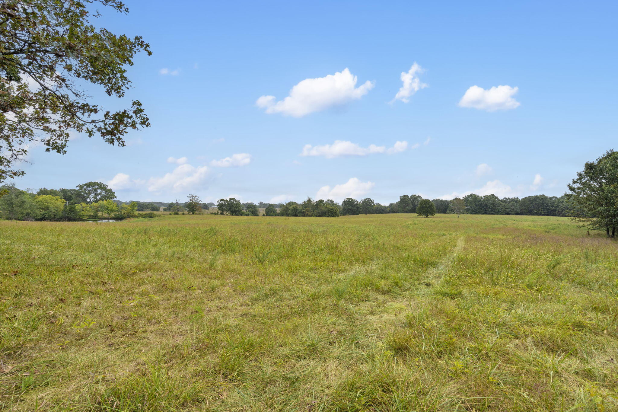 Photo 16 - Land for sale – 808  Coon Ridge Road  Galena, MO