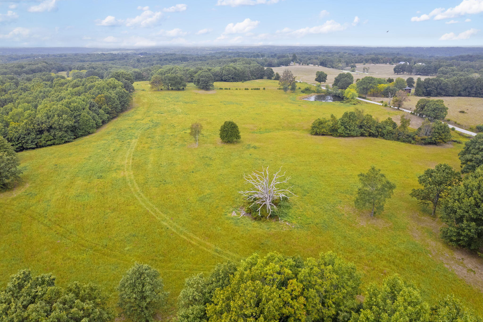Photo 9 - Land for sale – 808  Coon Ridge Road  Galena, MO