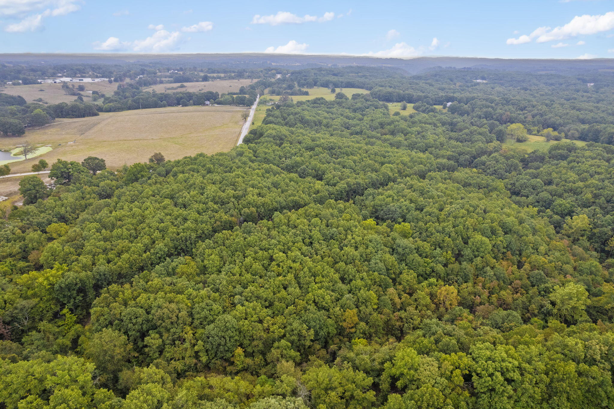 Photo 3 - Land for sale – 808  Coon Ridge Road  Galena, MO