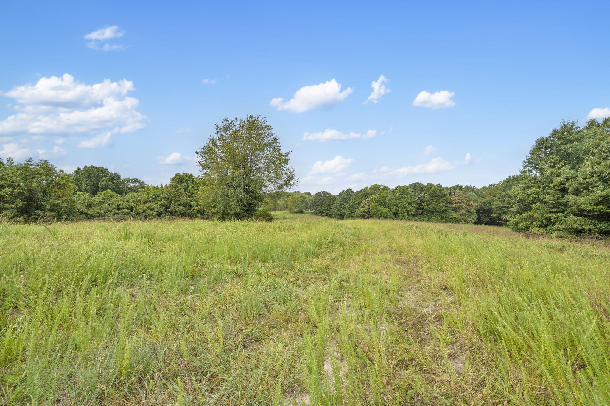 Photo 14 - Land for sale – 808  Coon Ridge Road  Galena, MO