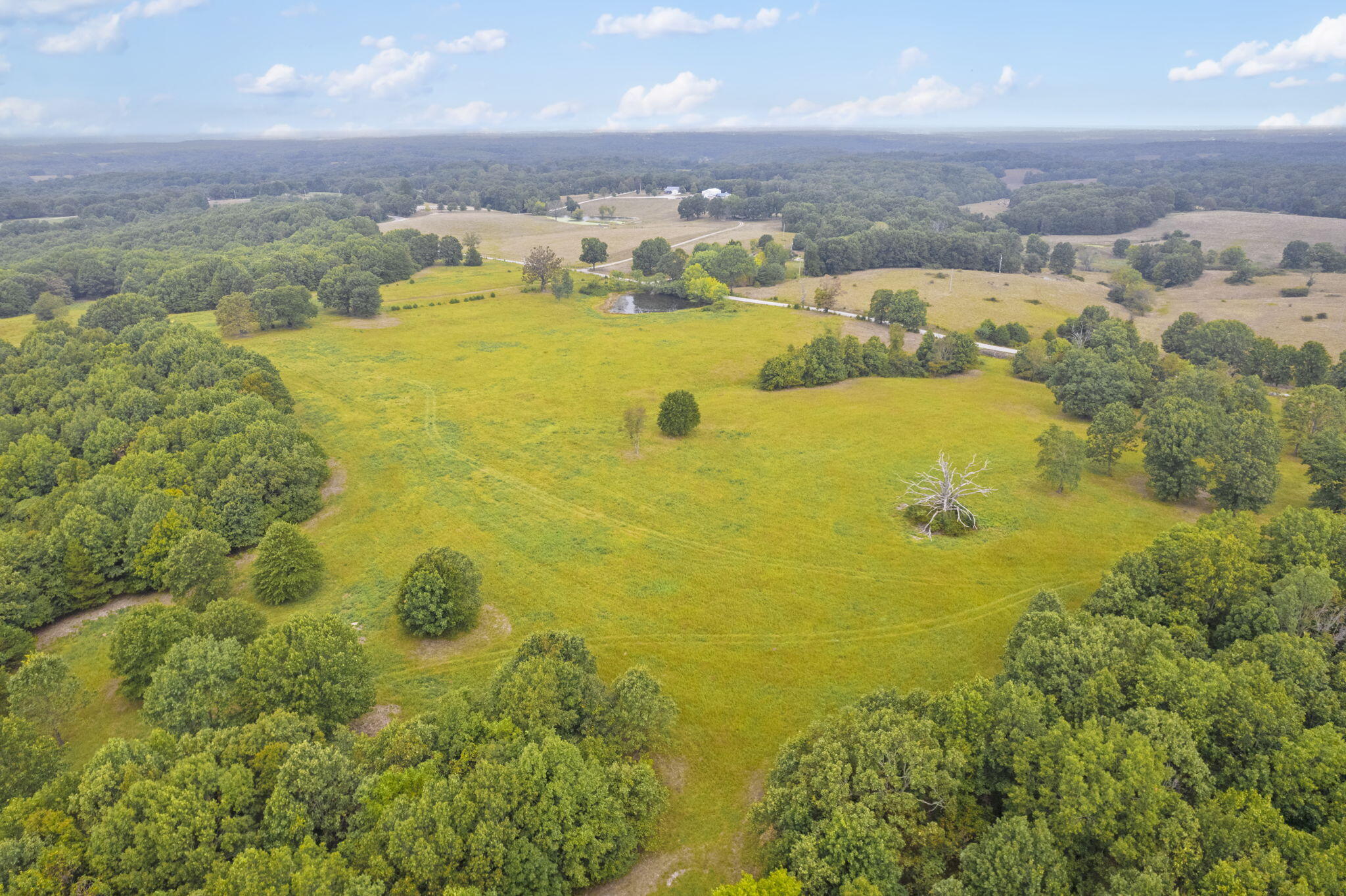 Photo 8 - Land for sale – 808  Coon Ridge Road  Galena, MO