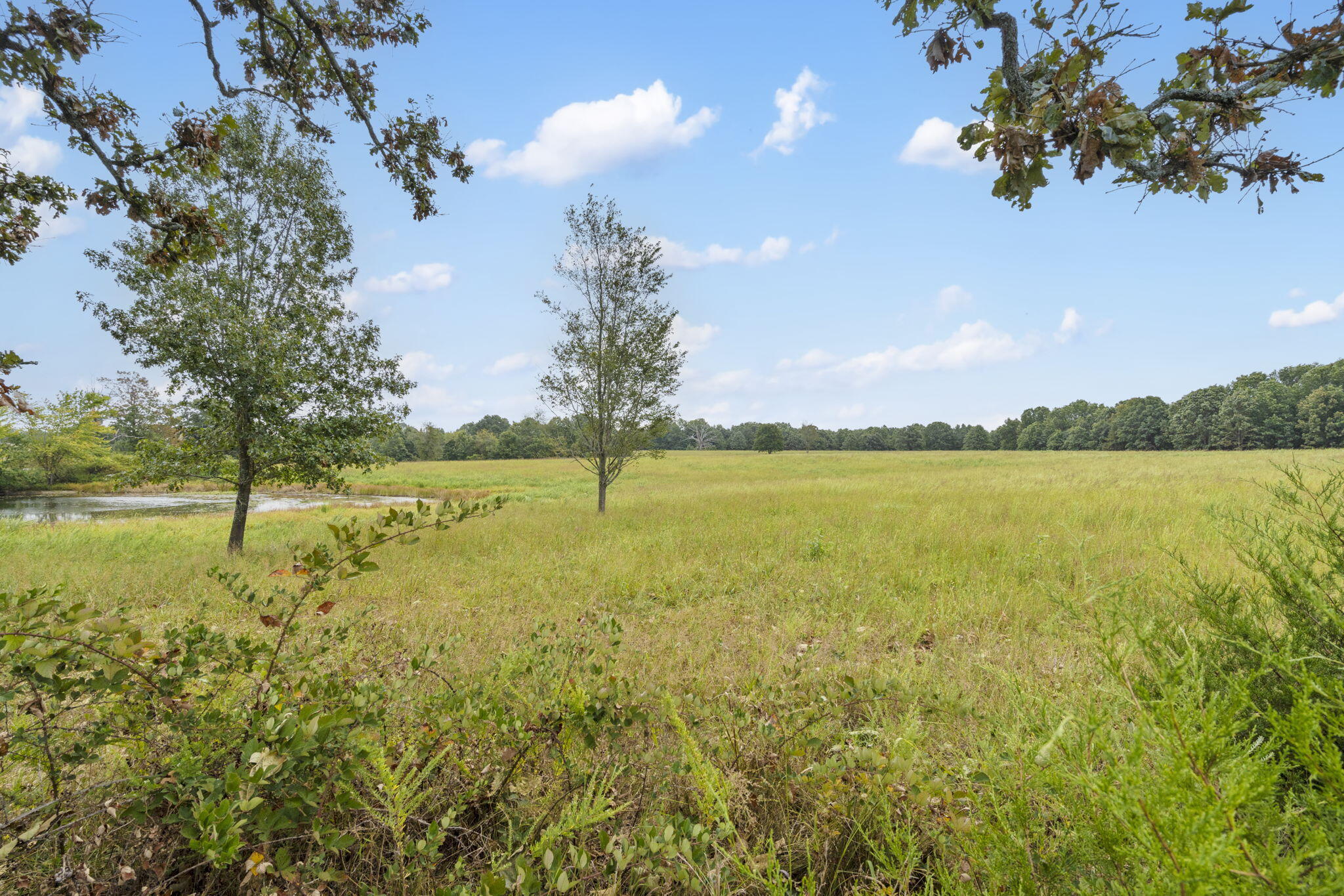 Photo 18 - Land for sale – 808  Coon Ridge Road  Galena, MO