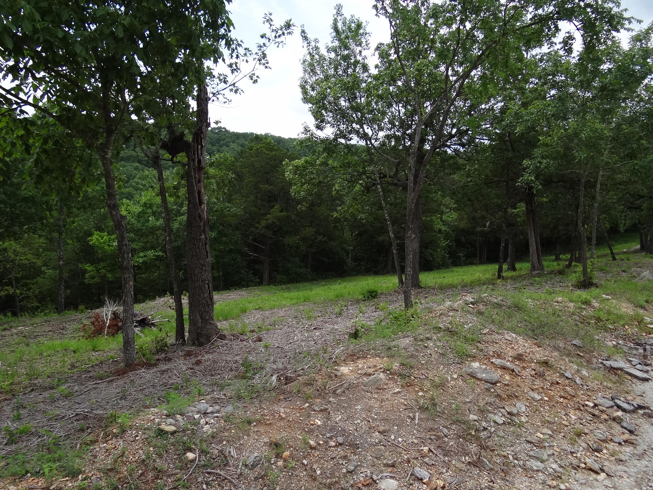 Photo 9 - Land for sale – Lot 137a  Dogwood Village Lane  Lampe, MO