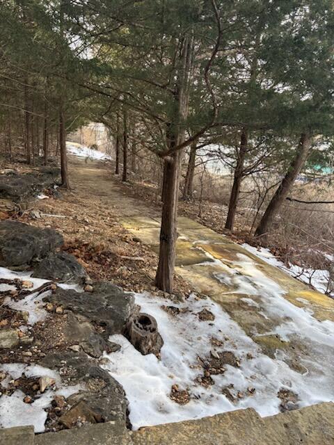 Photo 17 - Land for sale – Lot 137a  Dogwood Village Lane  Lampe, MO