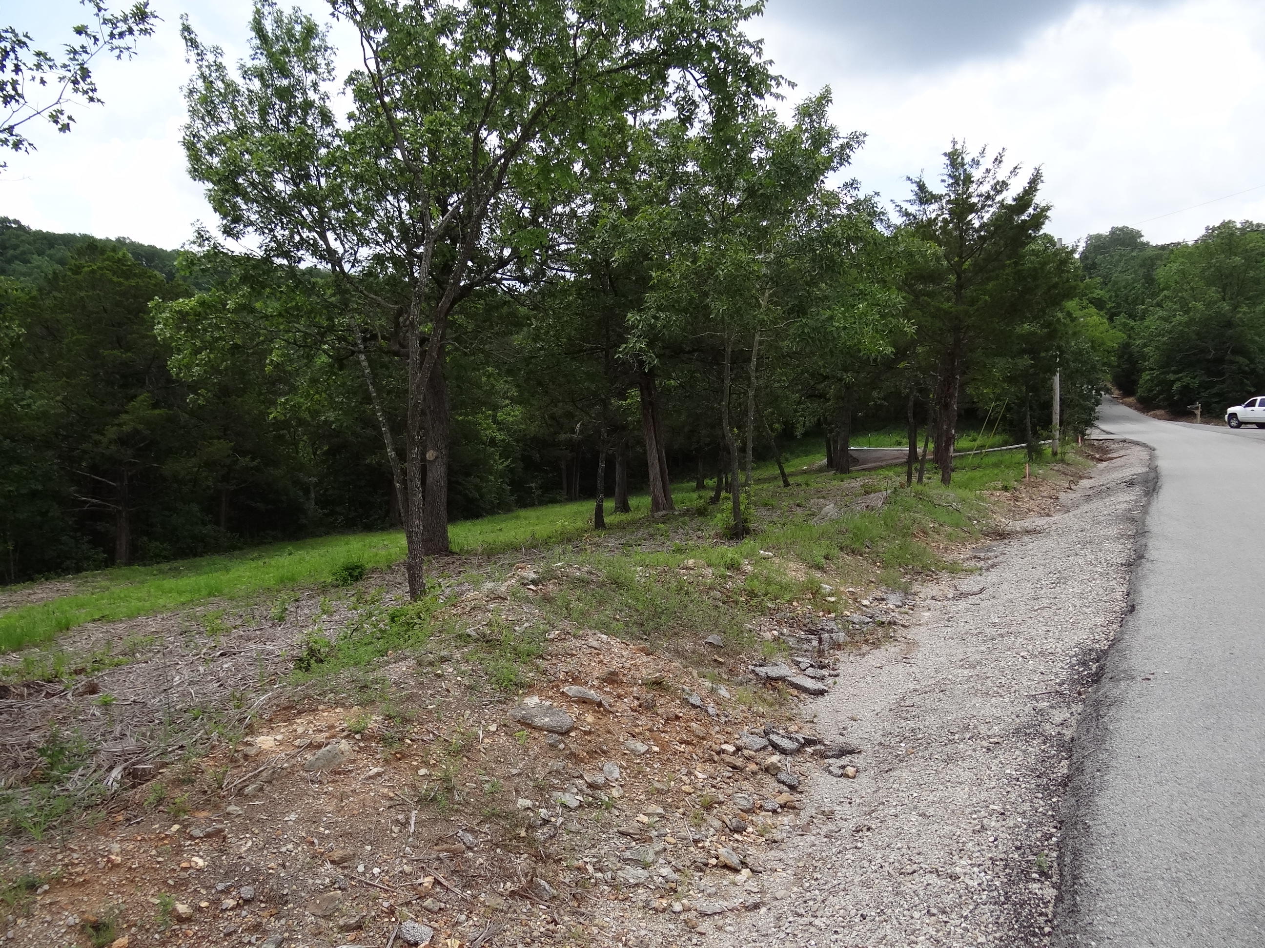 Photo 10 - Land for sale – Lot 137a  Dogwood Village Lane  Lampe, MO