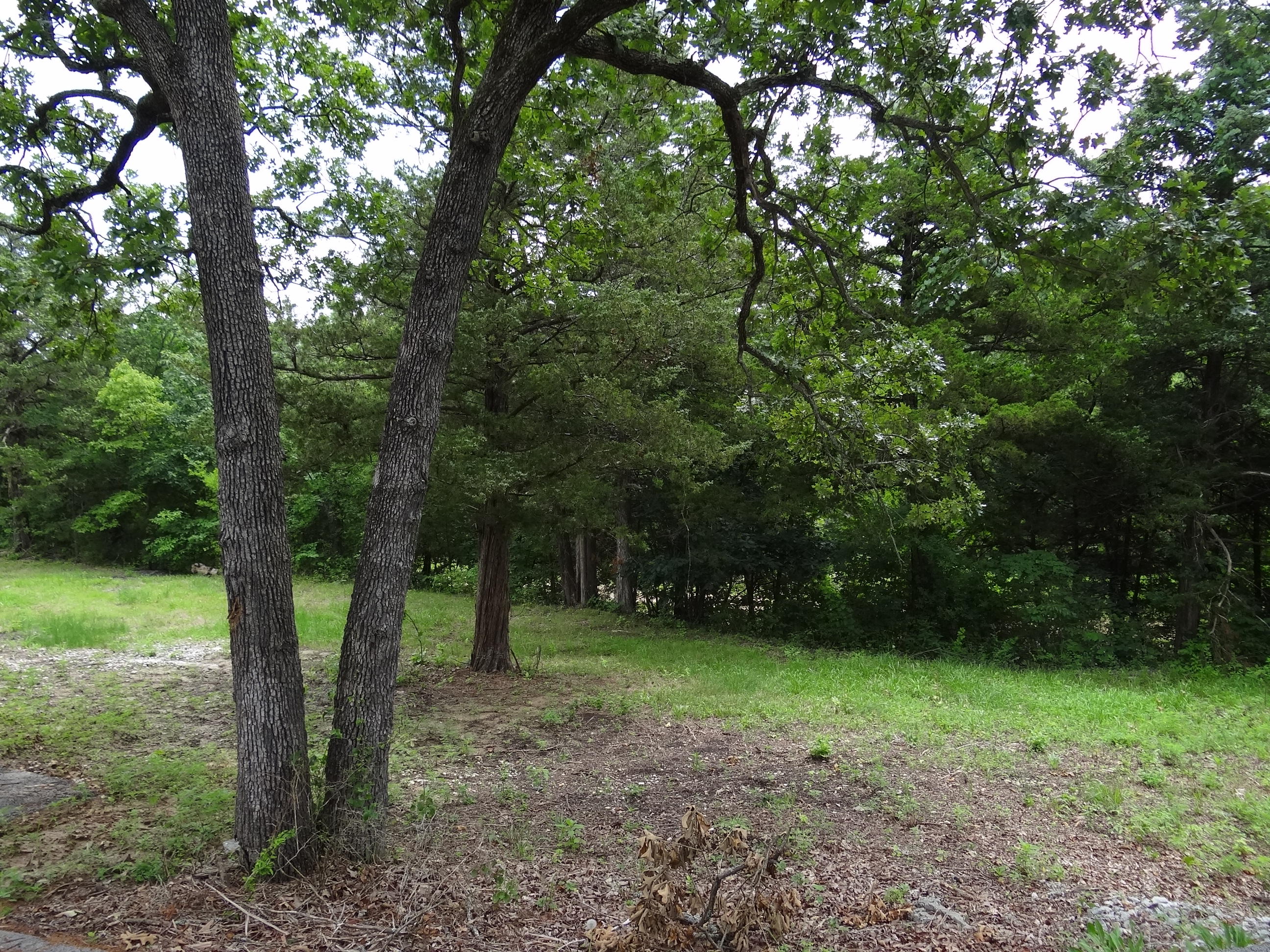 Photo 11 - Land for sale – Lot 137a  Dogwood Village Lane  Lampe, MO