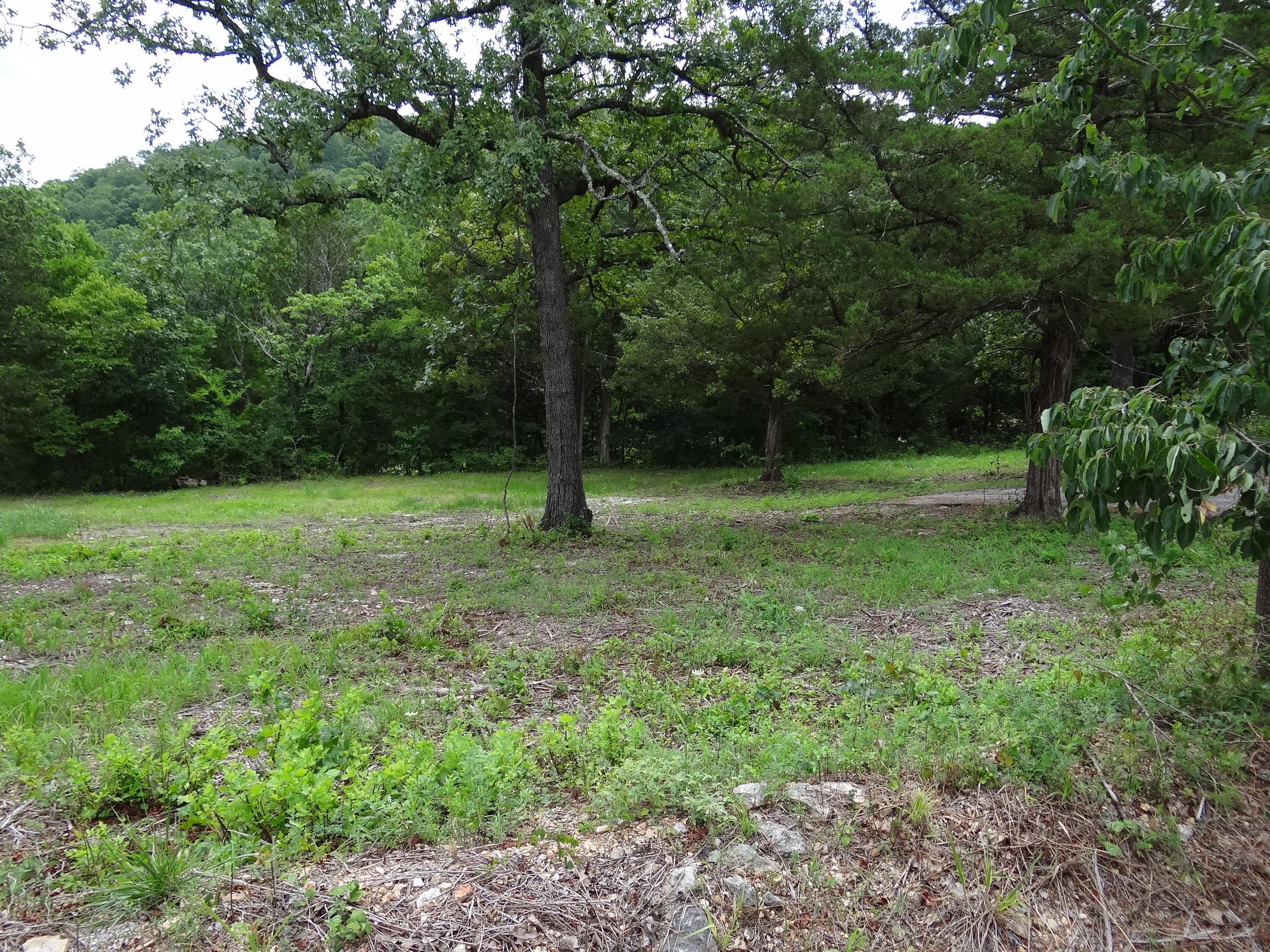 Photo 12 - Land for sale – Lot 137a  Dogwood Village Lane  Lampe, MO