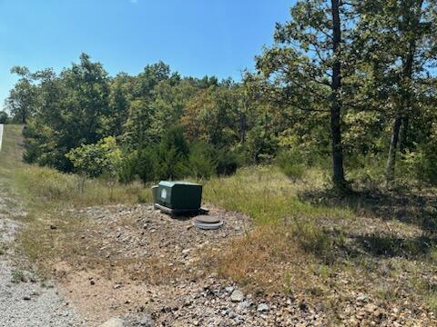 Photo 3 - Land for sale – Lot 205  Black Forest Lane  Branson West, MO