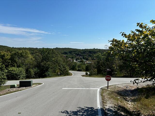 Photo 2 - Land for sale – Lot 205  Black Forest Lane  Branson West, MO