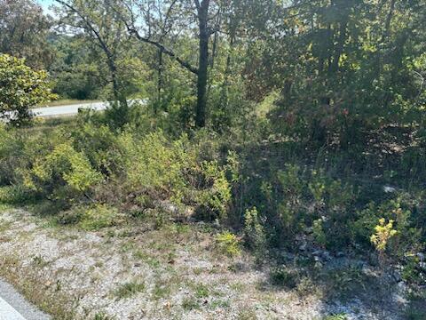 Land for sale – Lot 205  Black Forest Lane  Branson West, MO