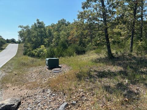 Photo 4 - Land for sale – Lot 205  Black Forest Lane  Branson West, MO