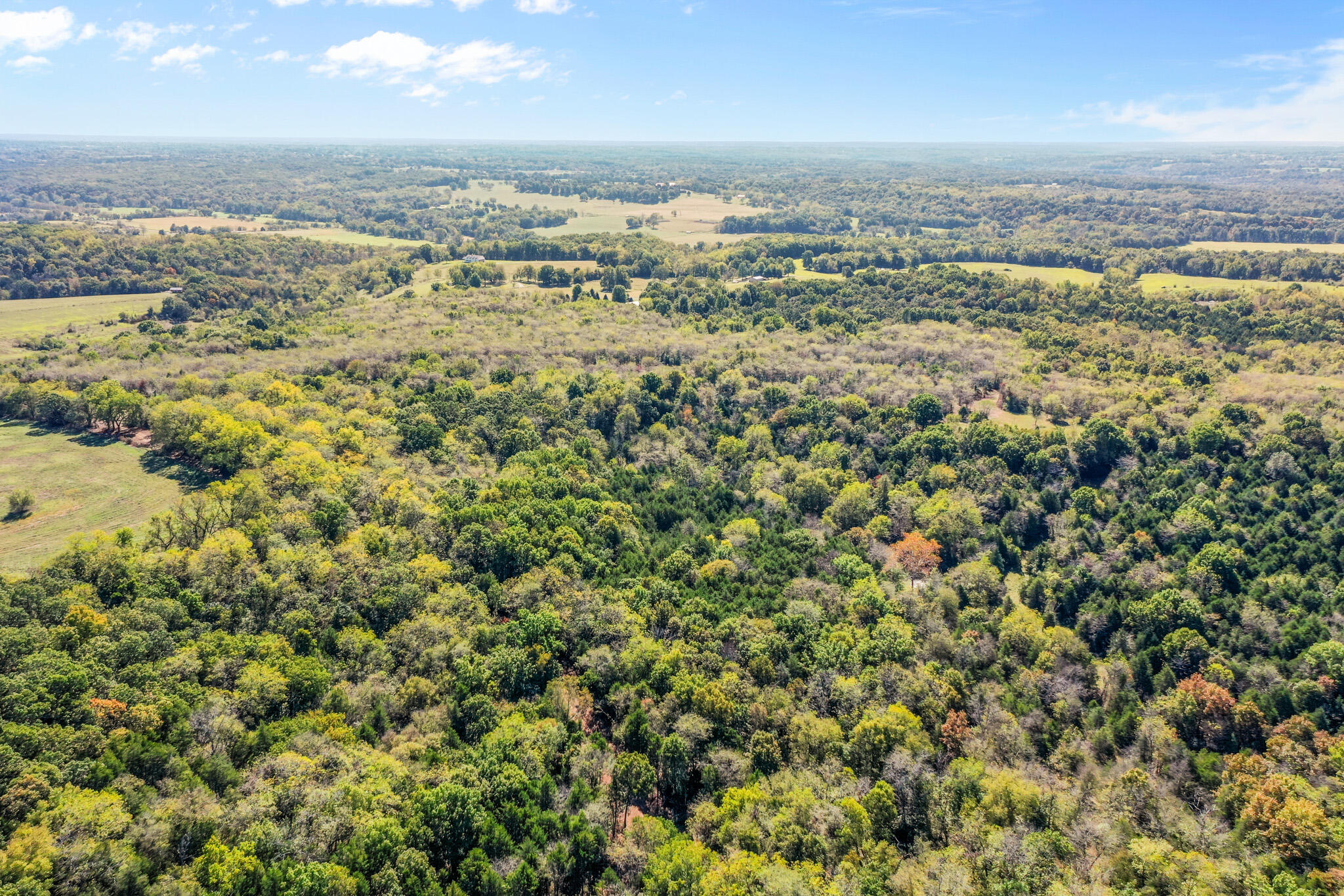 Photo 15 - Land for sale – 1971 N Hazeltine Road  Brookline, MO