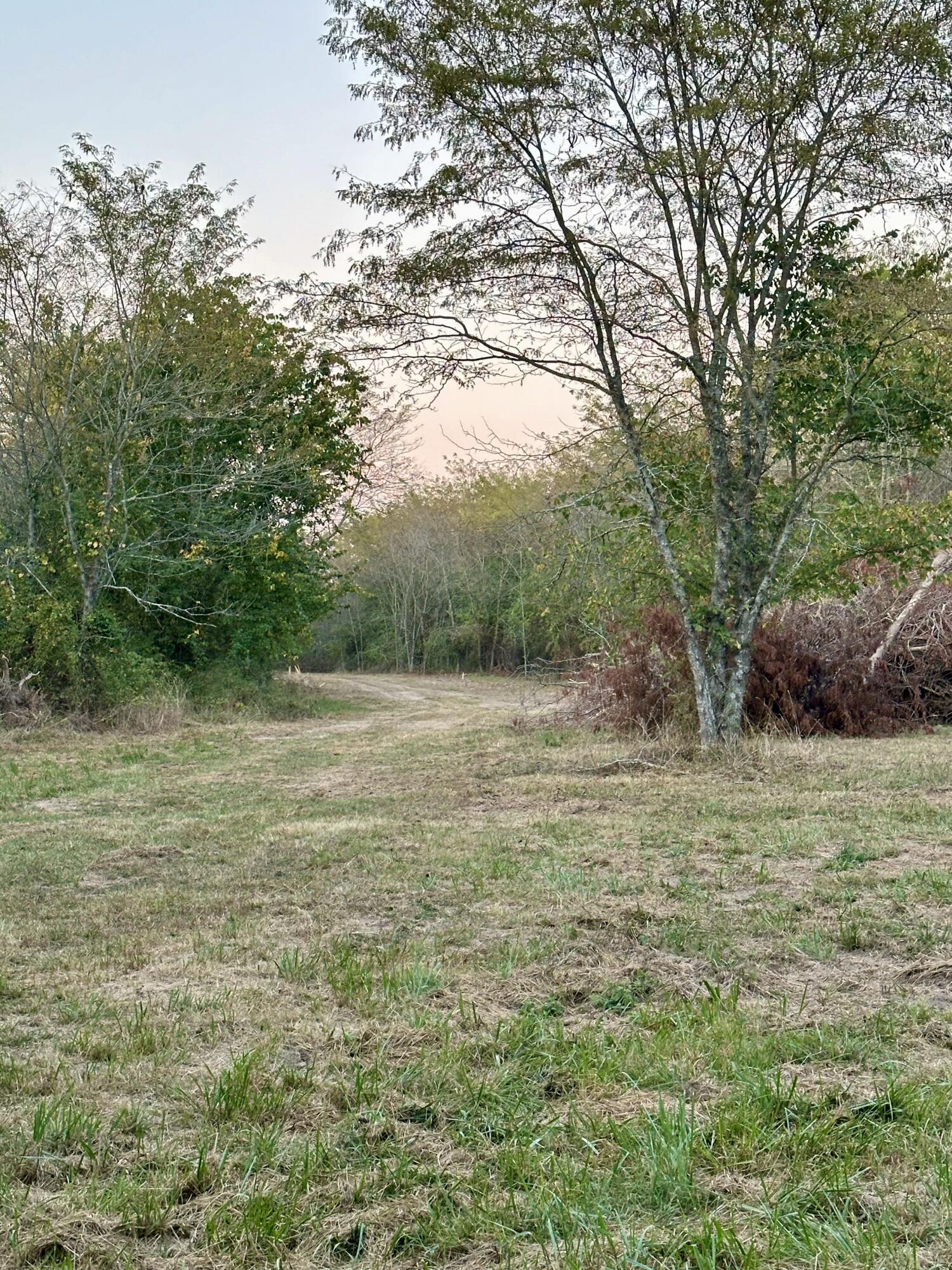 Photo 23 - Land for sale – 1971 N Hazeltine Road  Brookline, MO