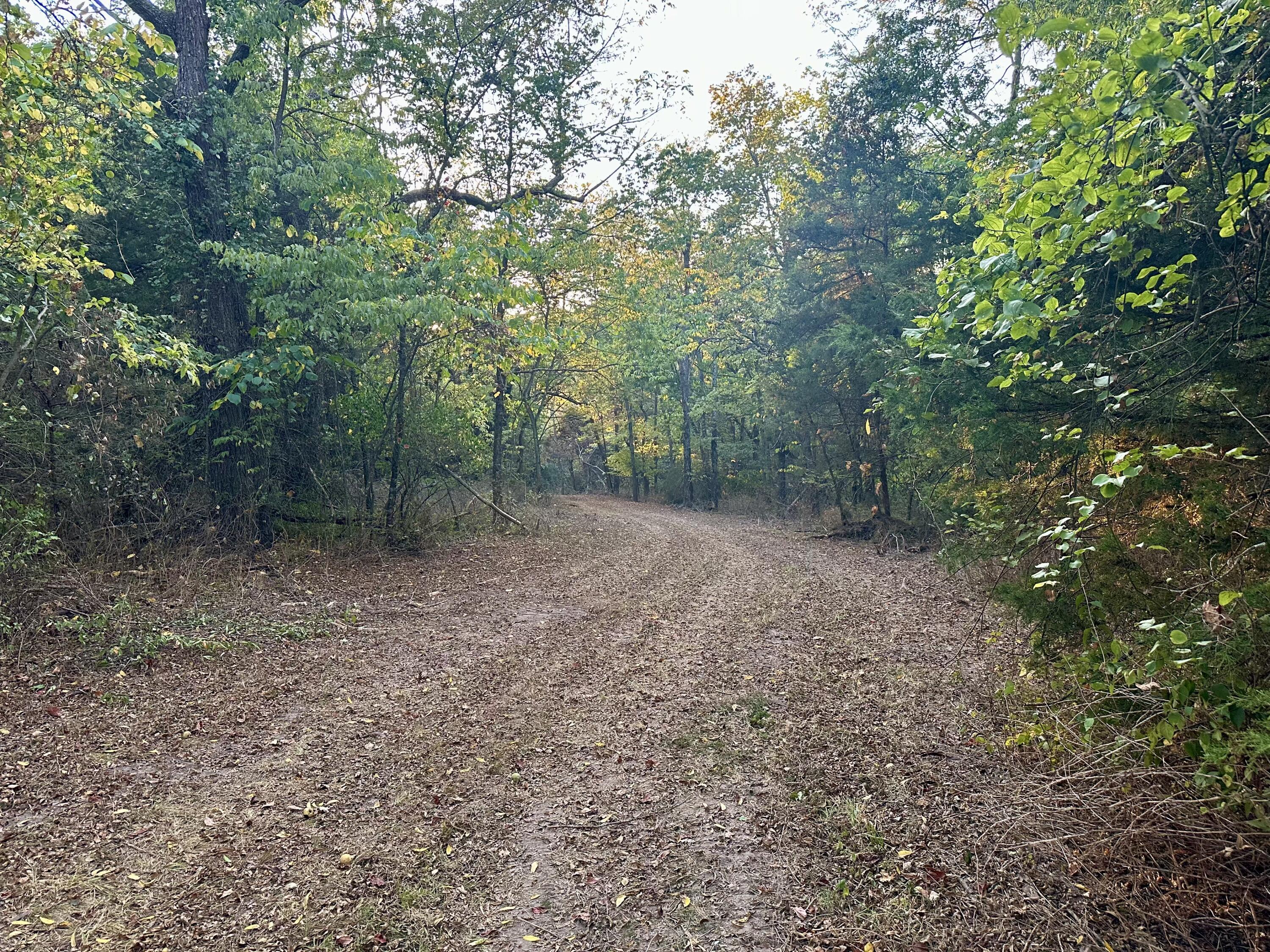 Photo 20 - Land for sale – 1971 N Hazeltine Road  Brookline, MO