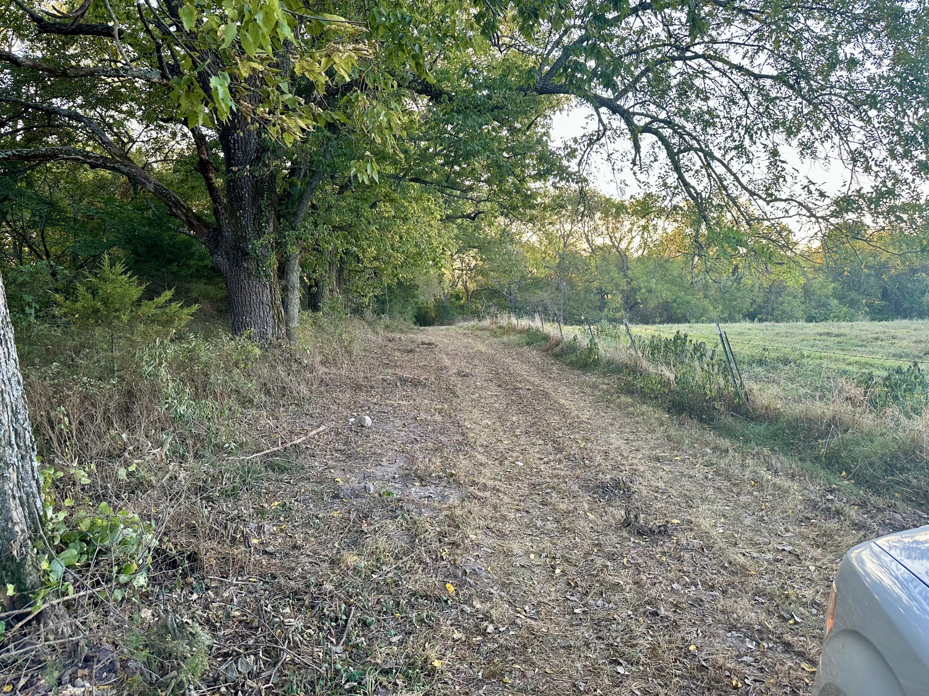 Photo 16 - Land for sale – 1971 N Hazeltine Road  Brookline, MO