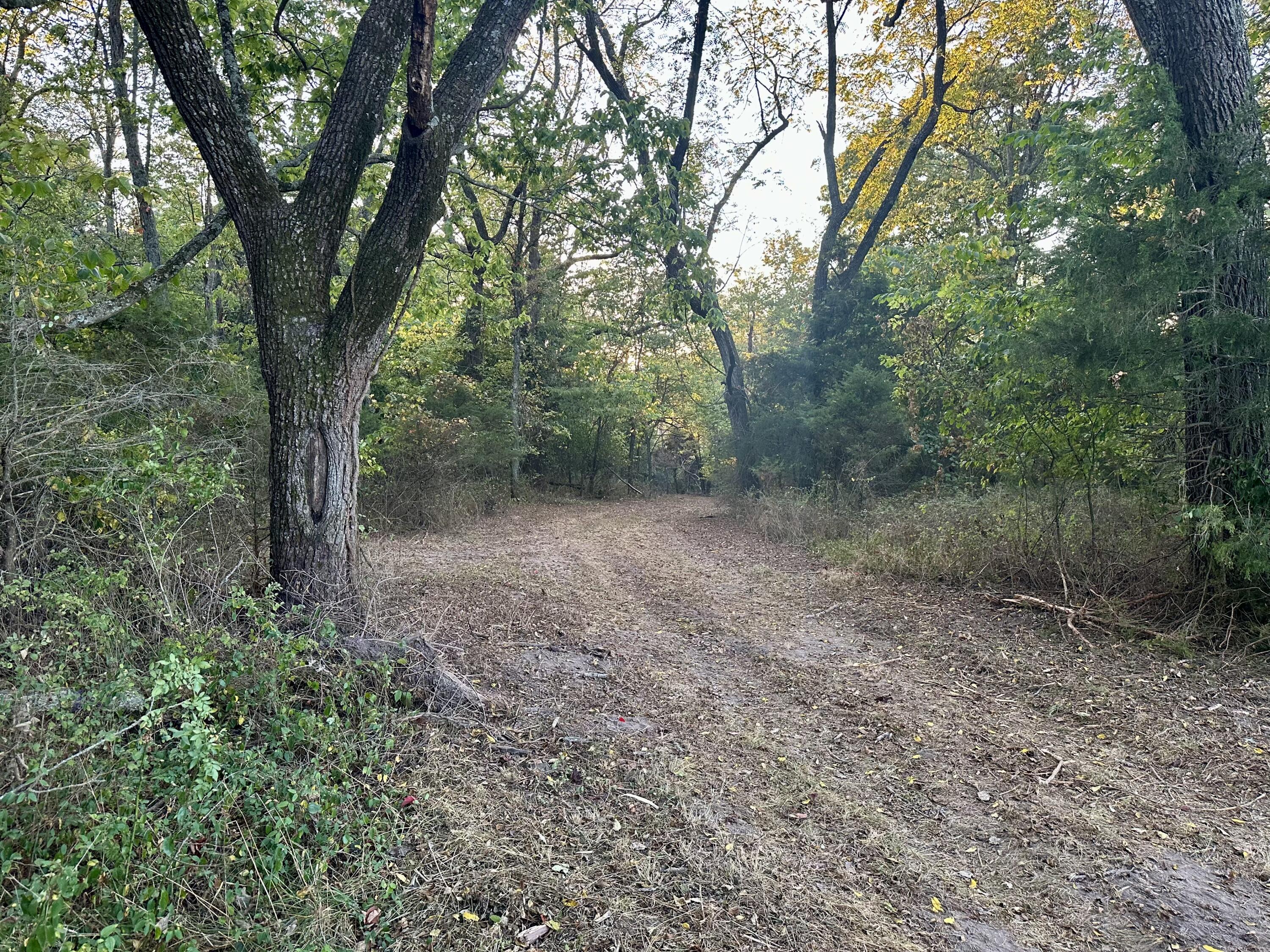Photo 17 - Land for sale – 1971 N Hazeltine Road  Brookline, MO