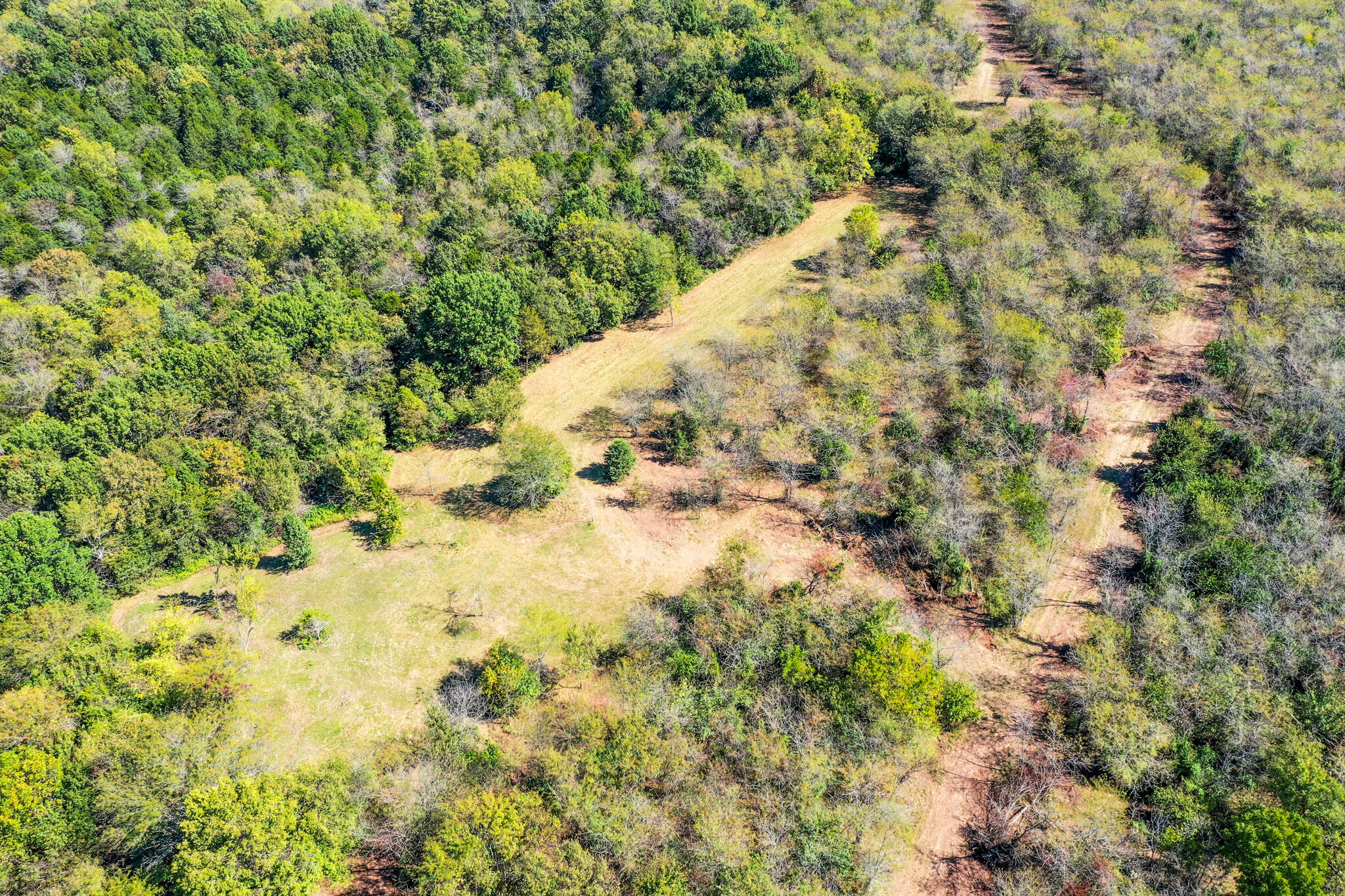 Photo 13 - Land for sale – 1971 N Hazeltine Road  Brookline, MO