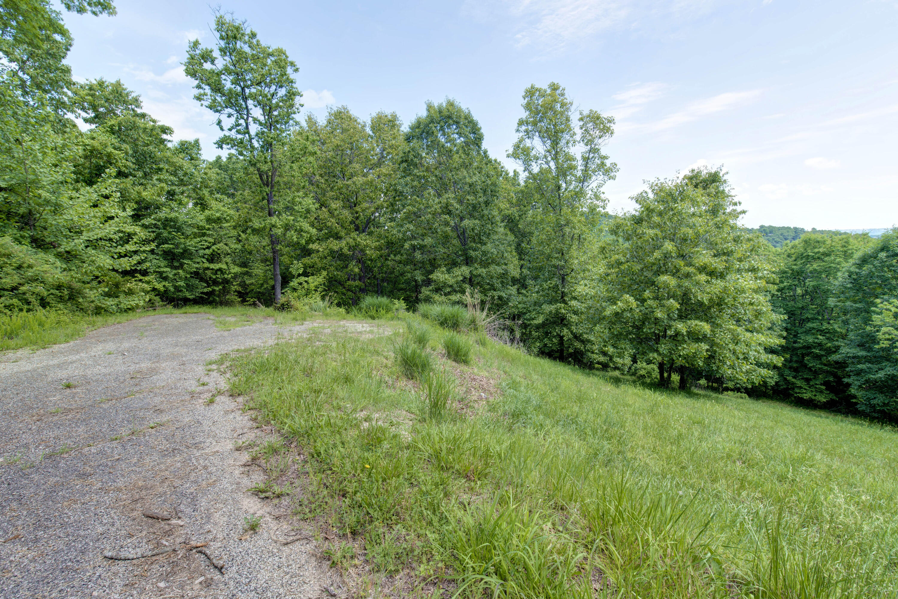 Photo 10 - Land for sale – Tbd  Cool Creek Road  Branson West, MO