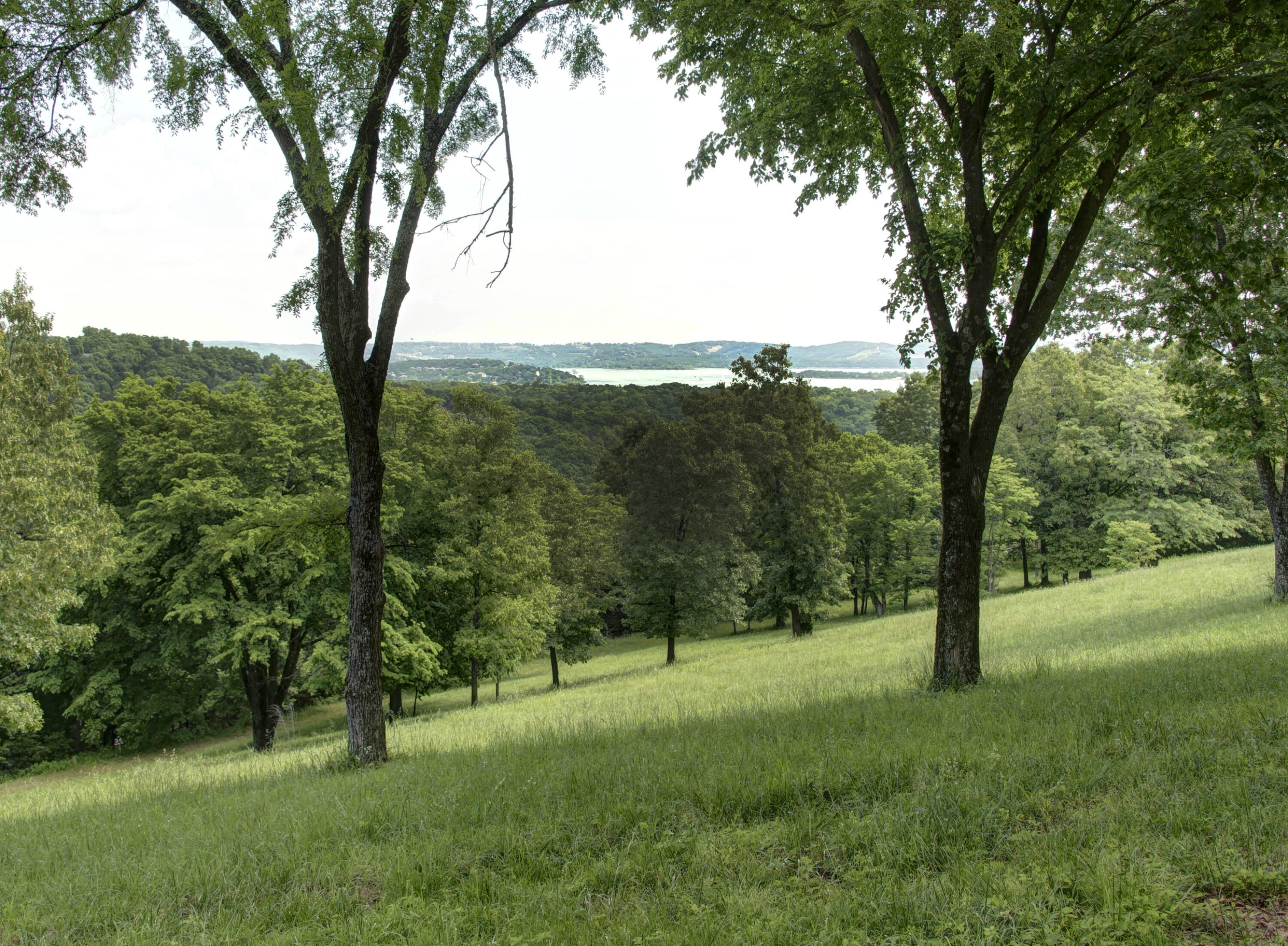 Photo 6 - Land for sale – Tbd  Cool Creek Road  Branson West, MO