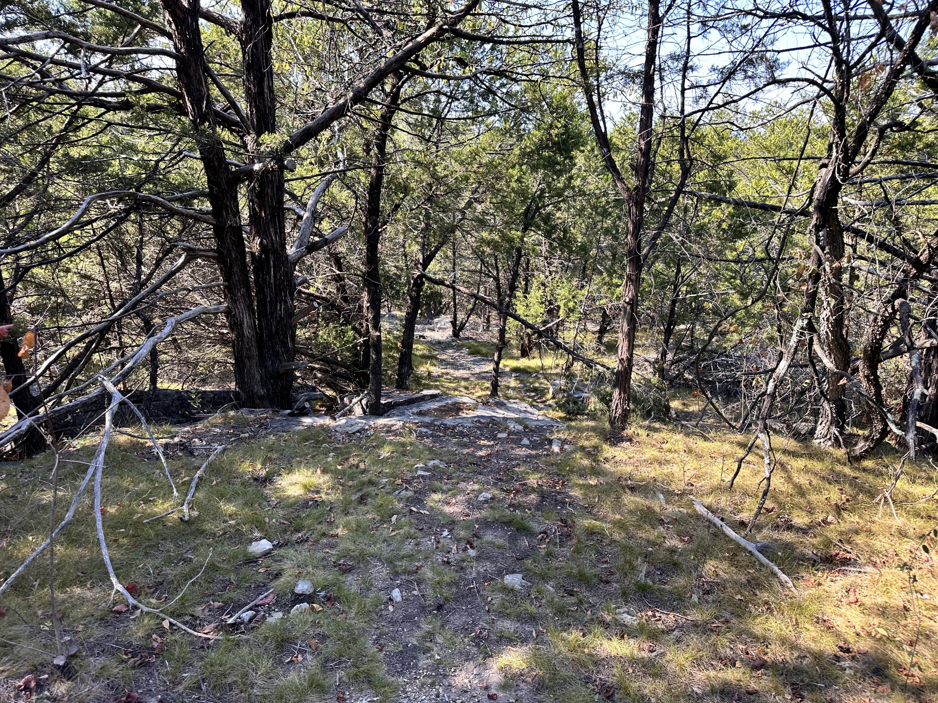 Photo 9 - Land for sale – 000  Trophy Run Road  Hollister, MO
