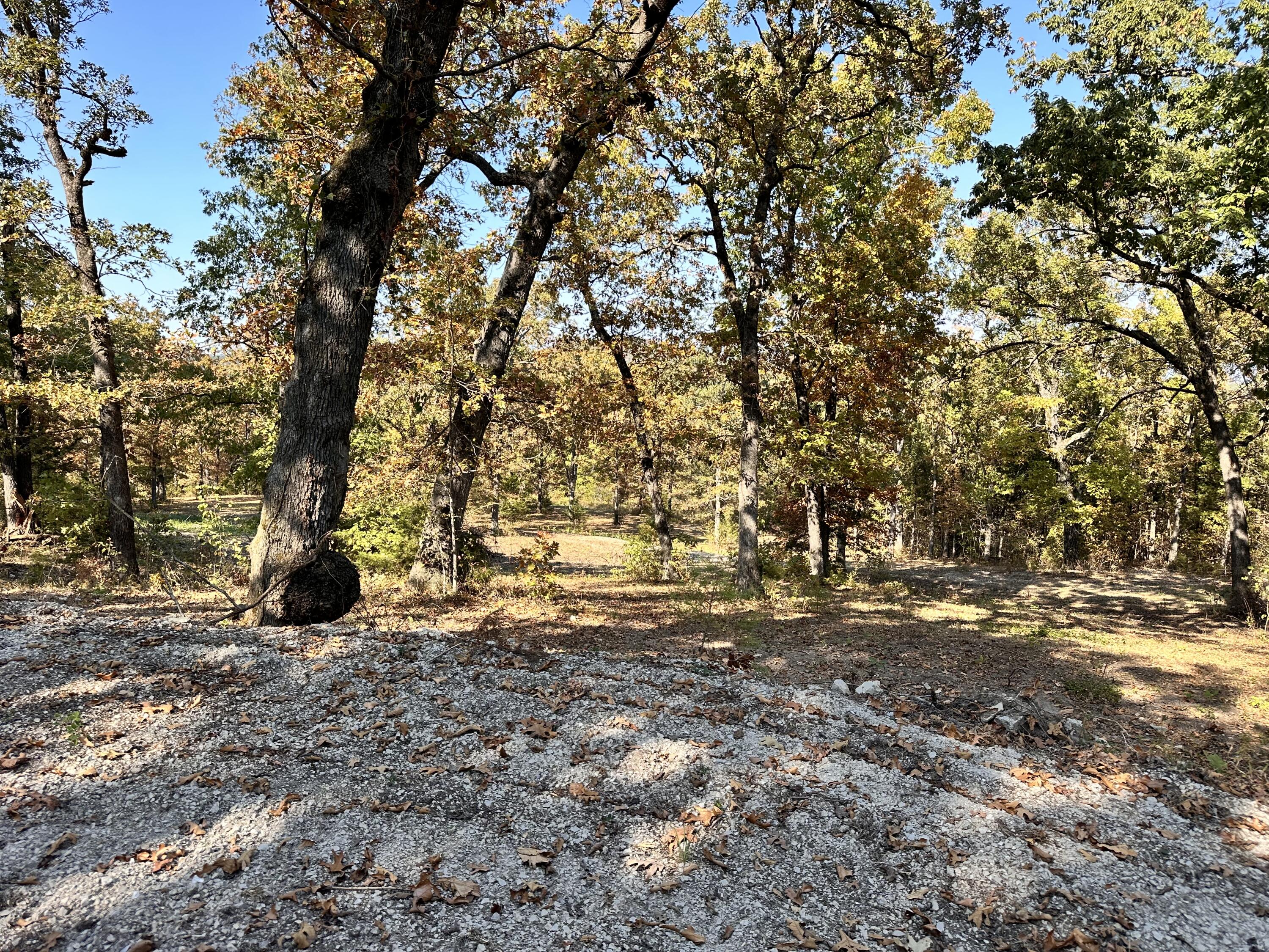 Photo 6 - Land for sale – 000  Trophy Run Road  Hollister, MO