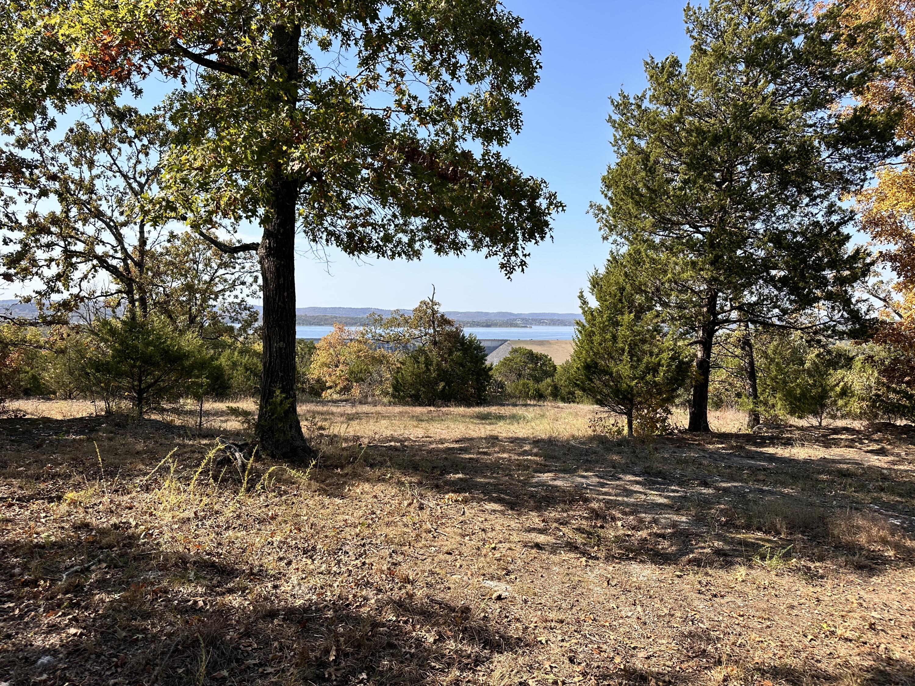 Photo 4 - Land for sale – 000  Trophy Run Road  Hollister, MO
