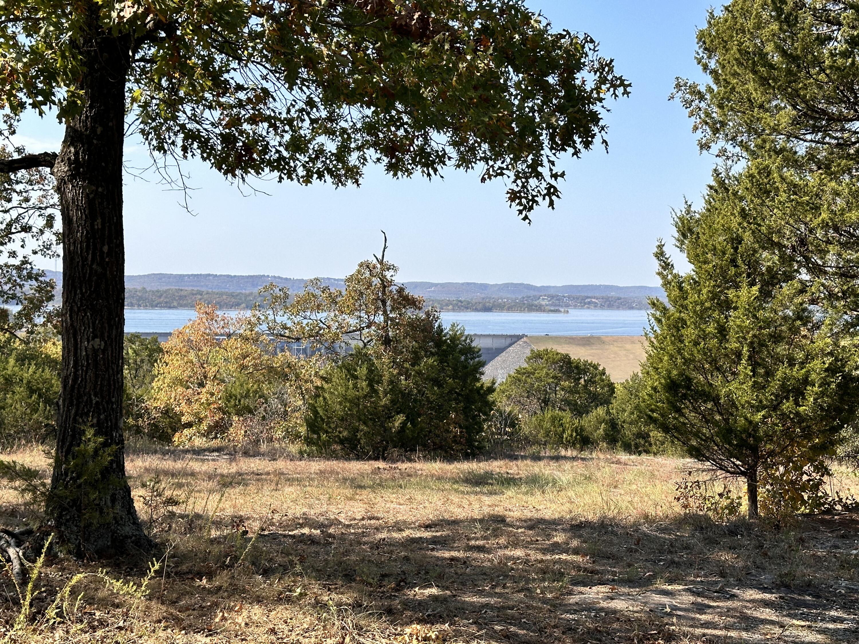 Photo 5 - Land for sale – 000  Trophy Run Road  Hollister, MO