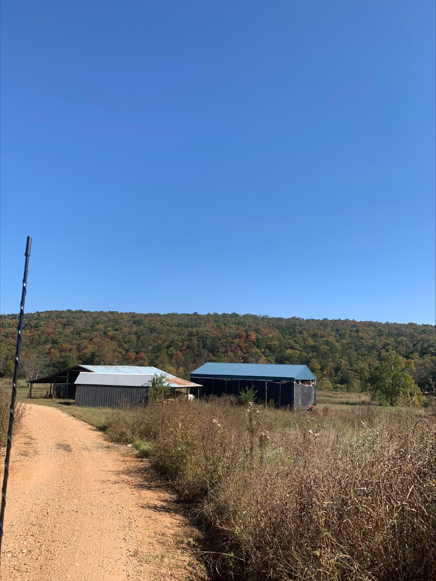 Photo 22 - Farm for sale – Tbd  County Road 950   Squires, MO