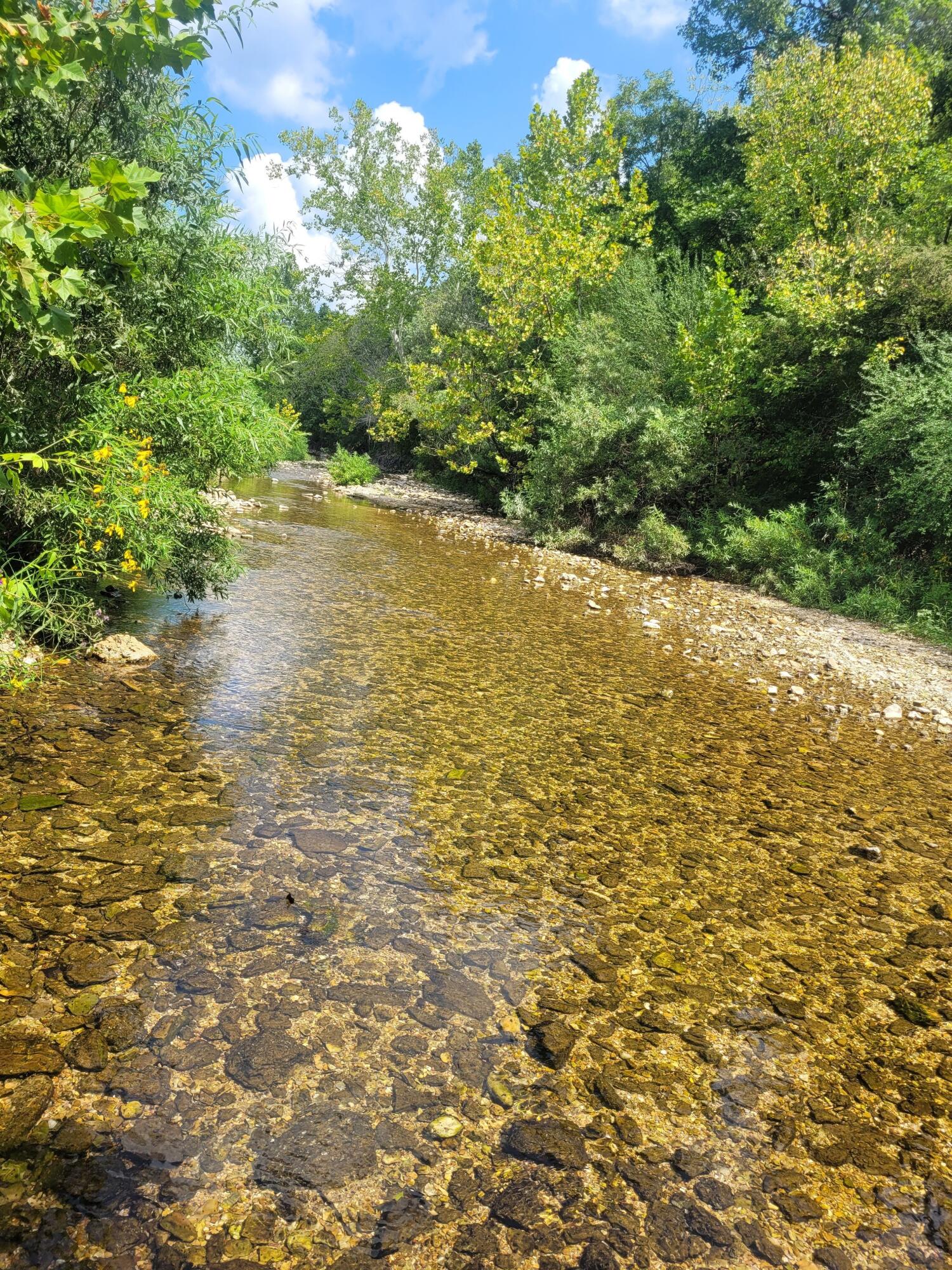 Photo 5 - Farm for sale – Tbd  County Road 950   Squires, MO