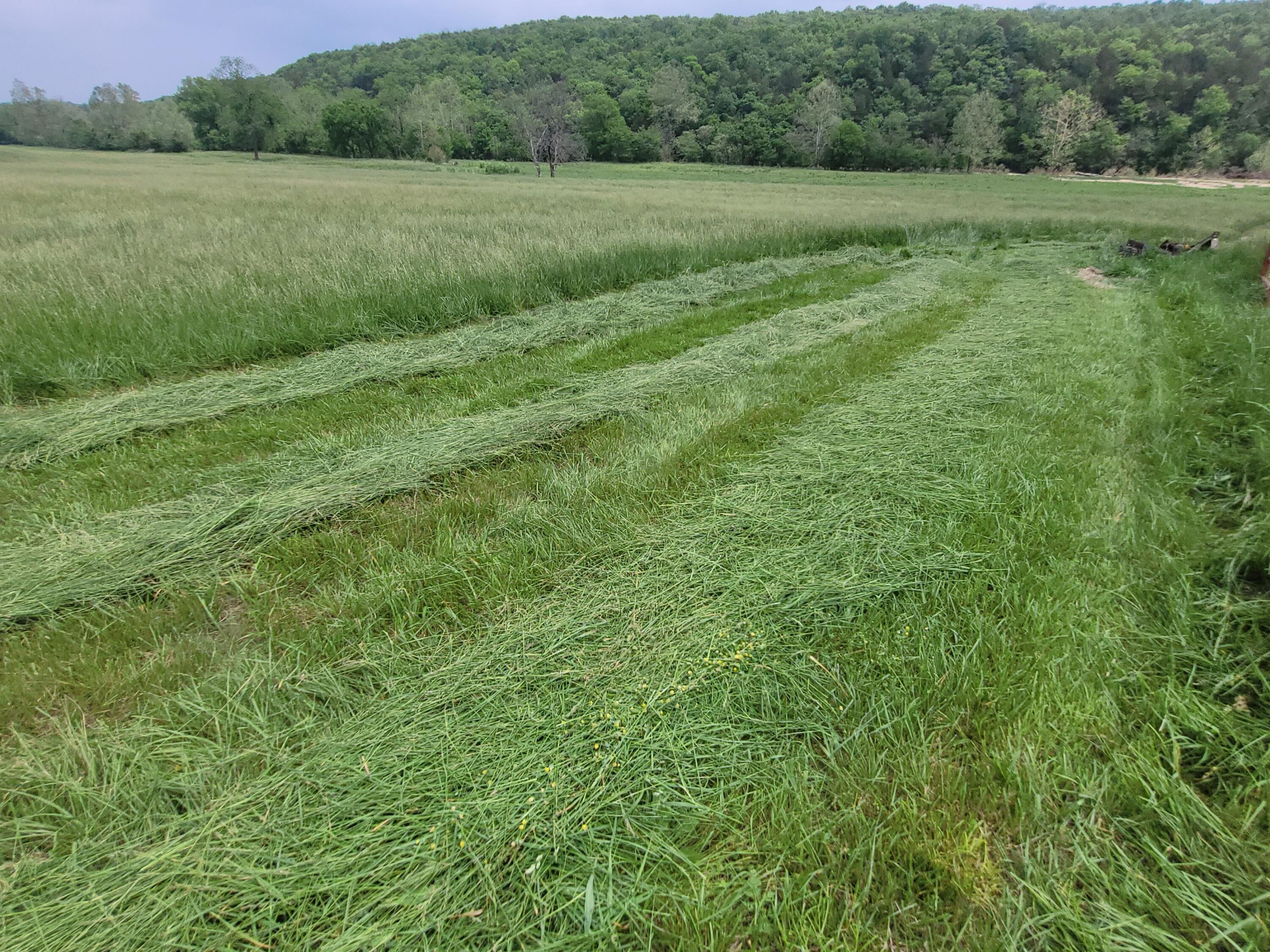 Photo 17 - Farm for sale – Tbd  County Road 950   Squires, MO
