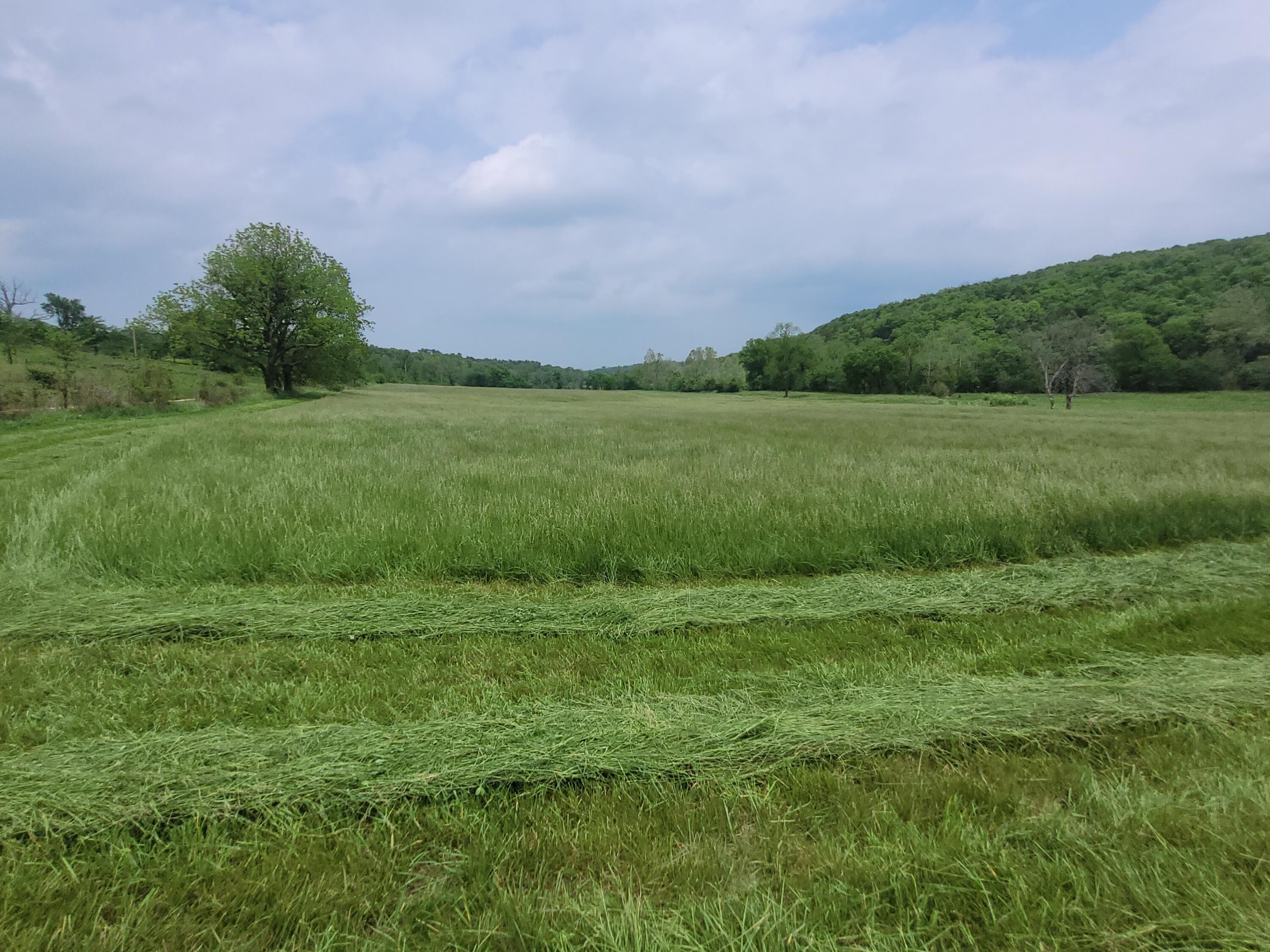 Photo 18 - Farm for sale – Tbd  County Road 950   Squires, MO
