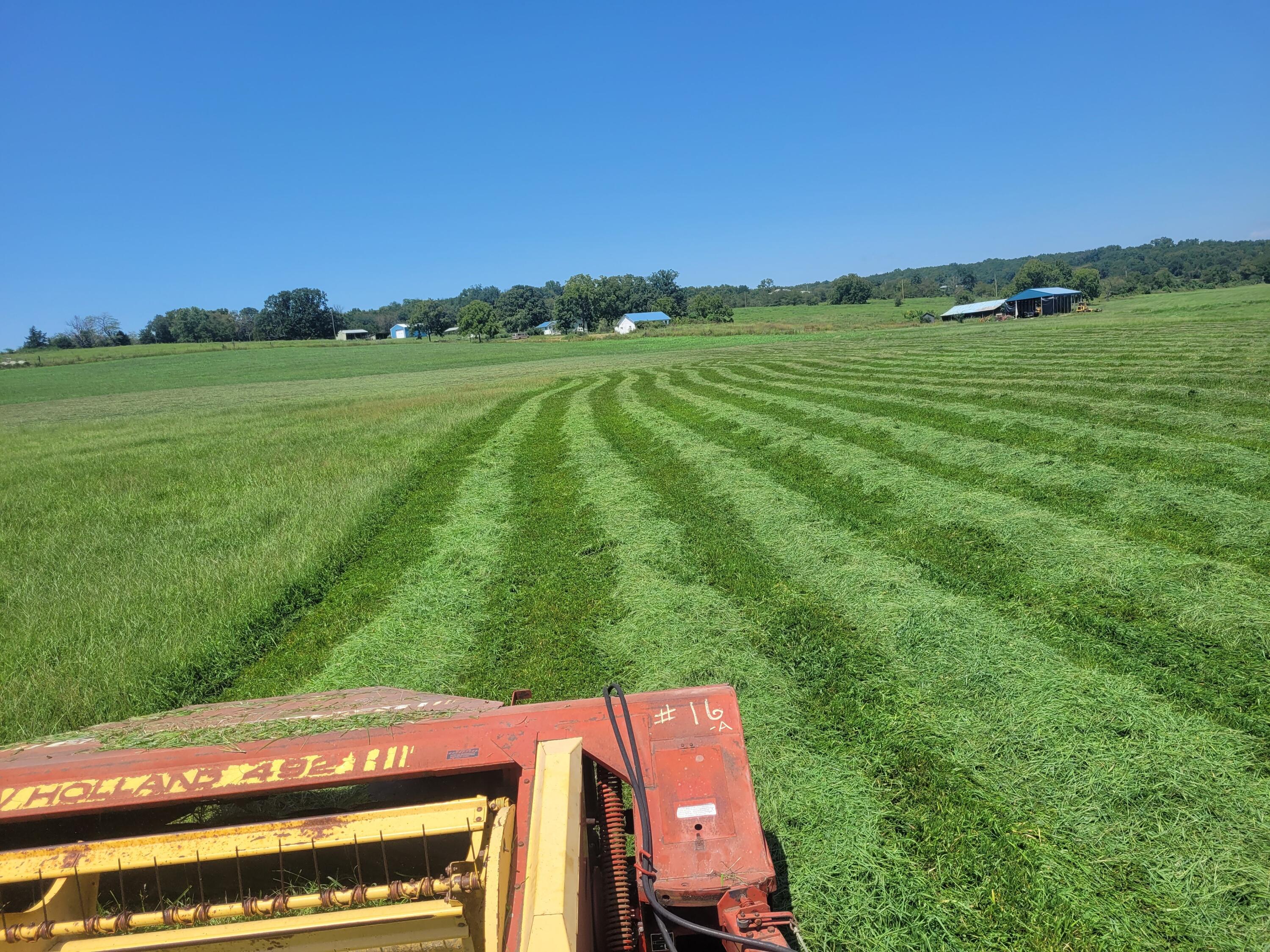 Photo 3 - Farm for sale – Tbd  County Road 950   Squires, MO