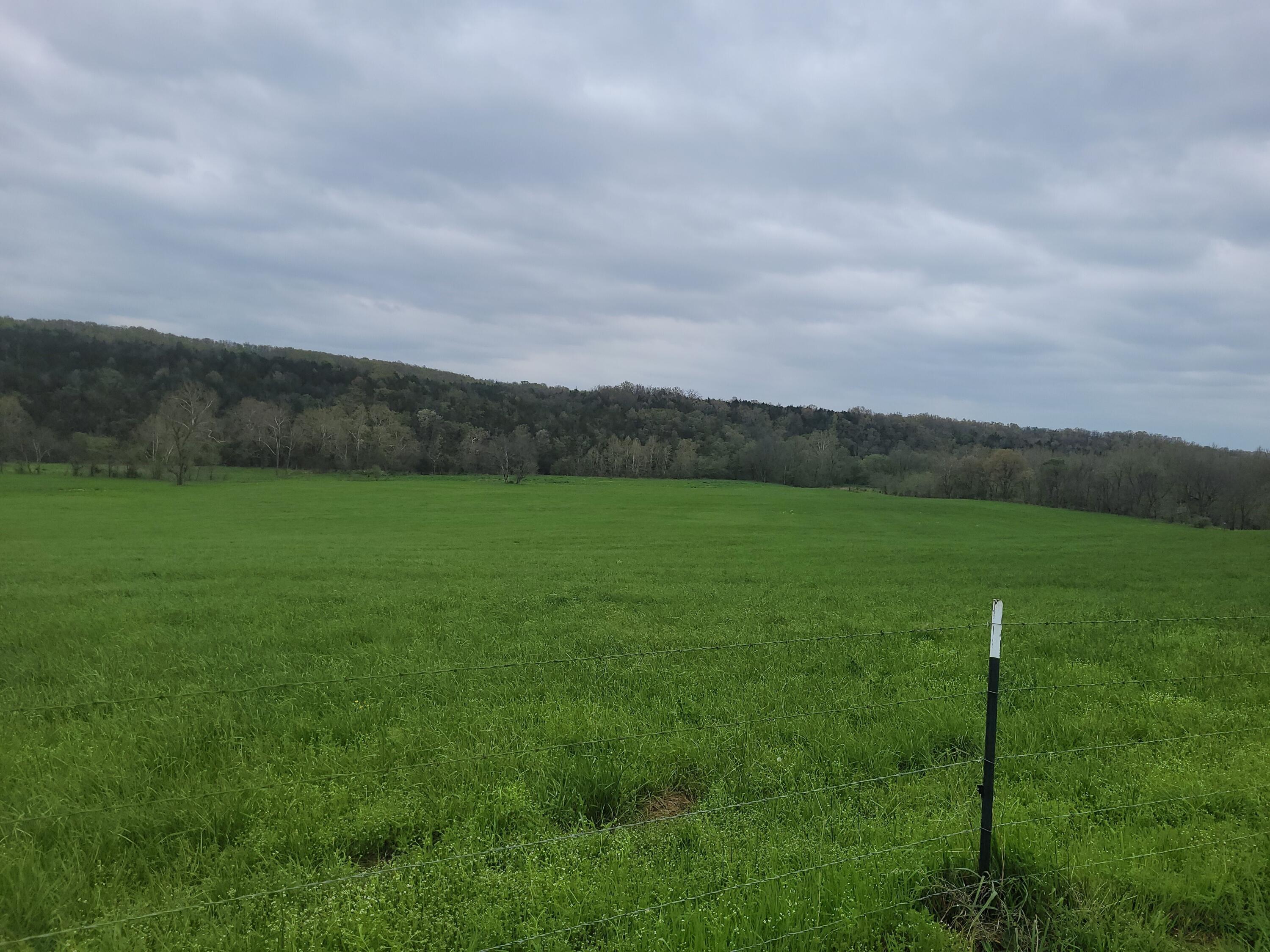 Photo 9 - Farm for sale – Tbd  County Road 950   Squires, MO