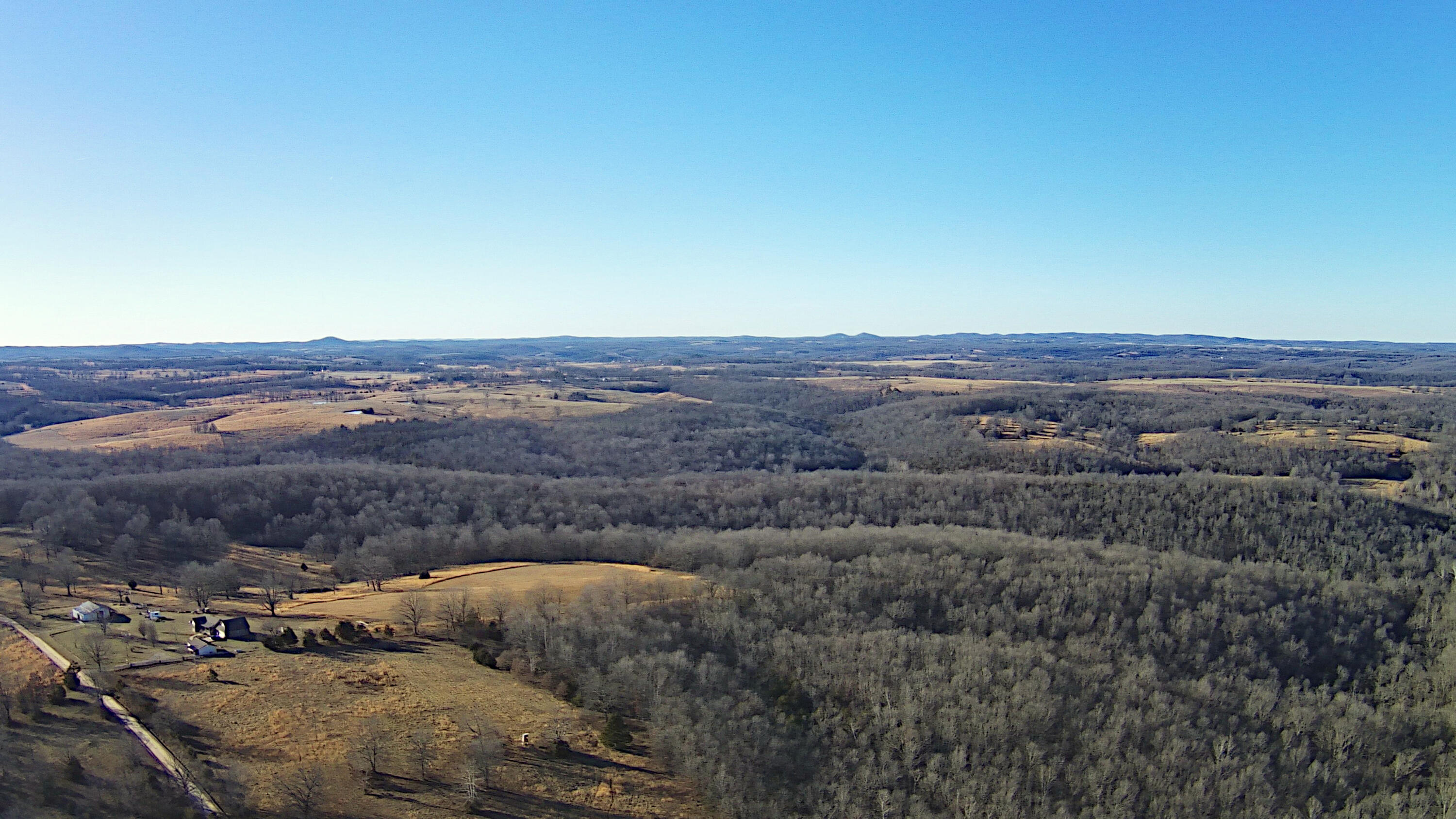 Photo 2 - Land for sale – Tbd  County Road 553a   Gainesville, MO