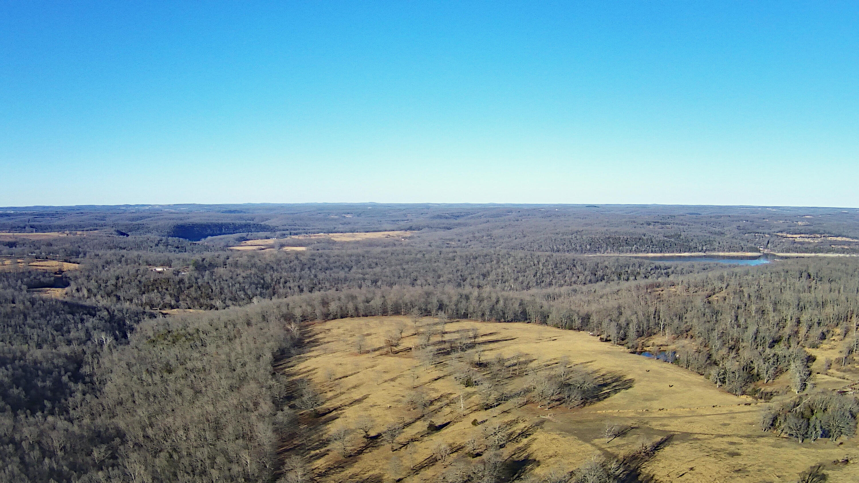Photo 3 - Land for sale – Tbd  County Road 553a   Gainesville, MO