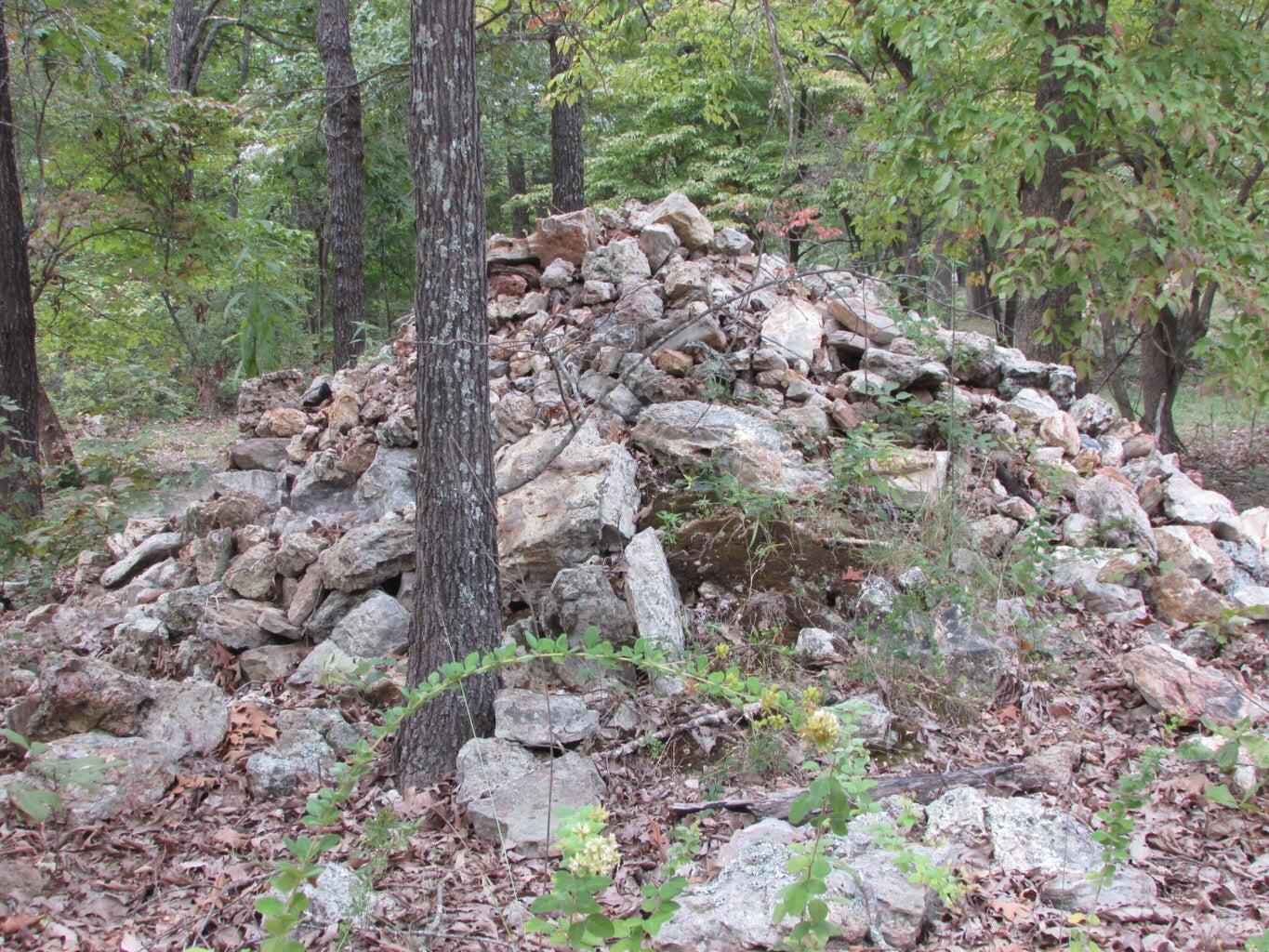 Photo 15 - Land for sale – Tbd  County Road 553a   Gainesville, MO