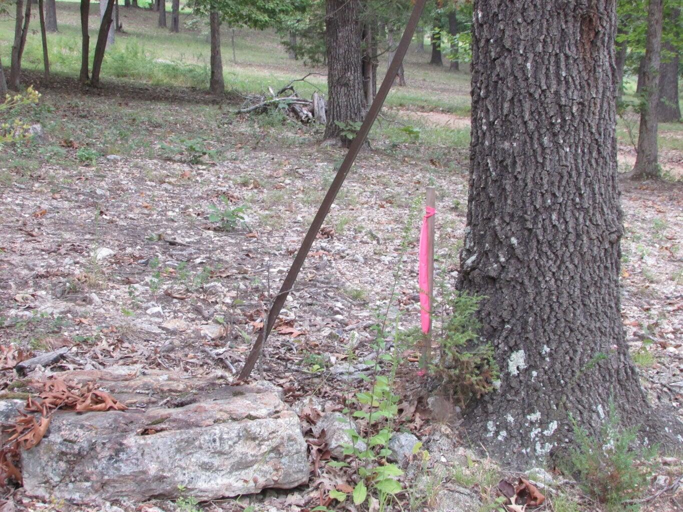 Photo 22 - Land for sale – Tbd  County Road 553a   Gainesville, MO