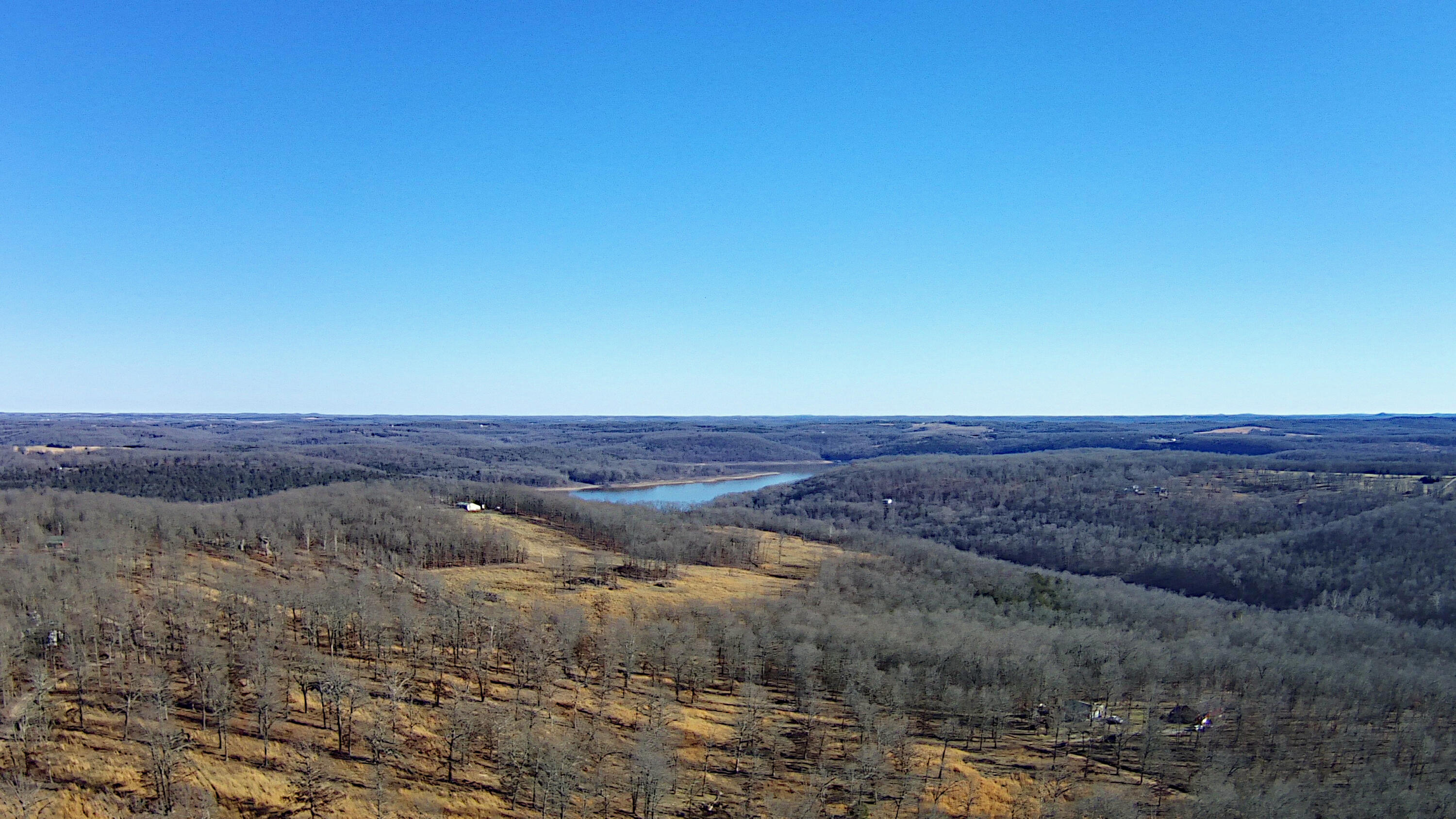 Photo 5 - Land for sale – Tbd  County Road 553a   Gainesville, MO