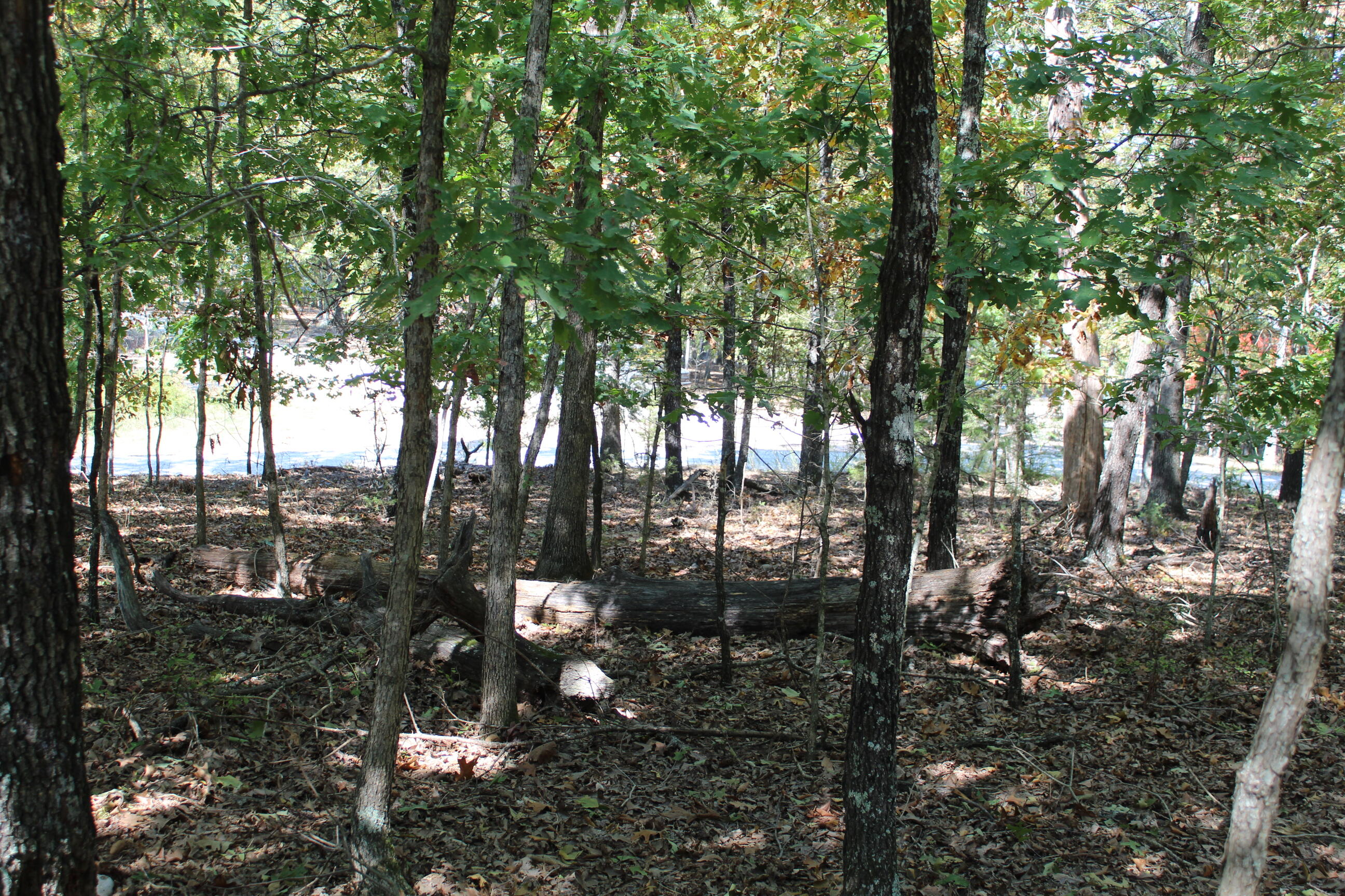 Photo 8 - Land for sale – 000  Blue Lake Drive  Protem, MO