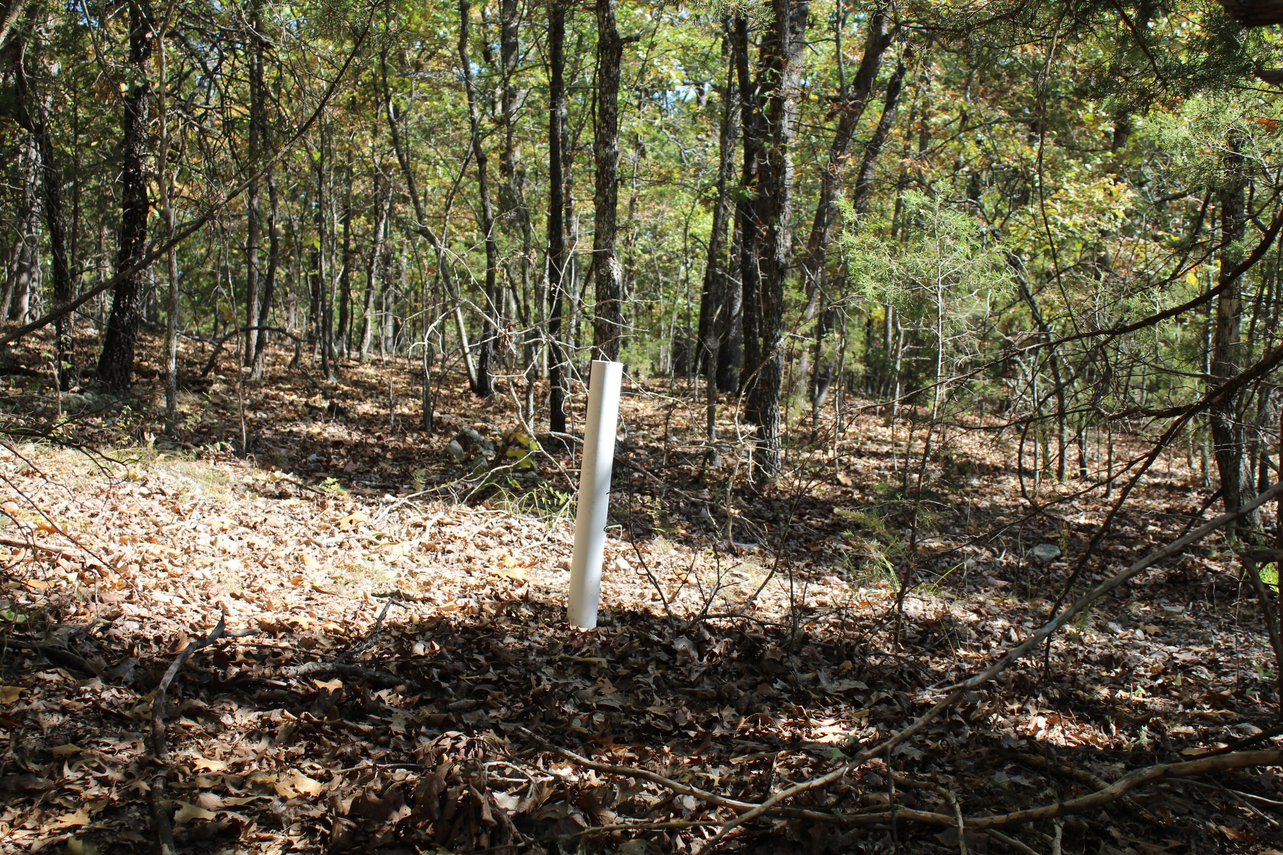 Photo 22 - Land for sale – 000  Blue Lake Drive  Protem, MO