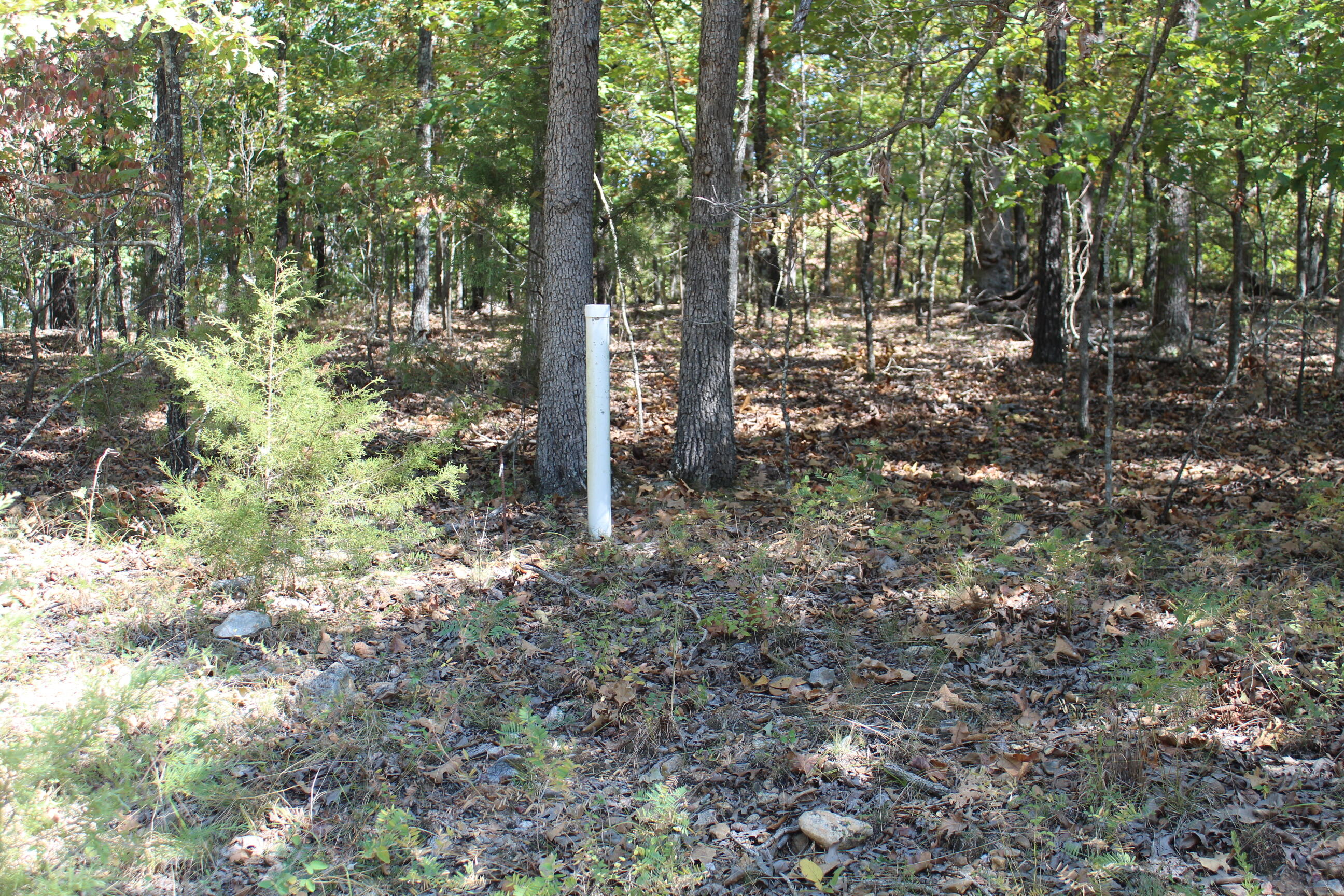 Photo 21 - Land for sale – 000  Blue Lake Drive  Protem, MO
