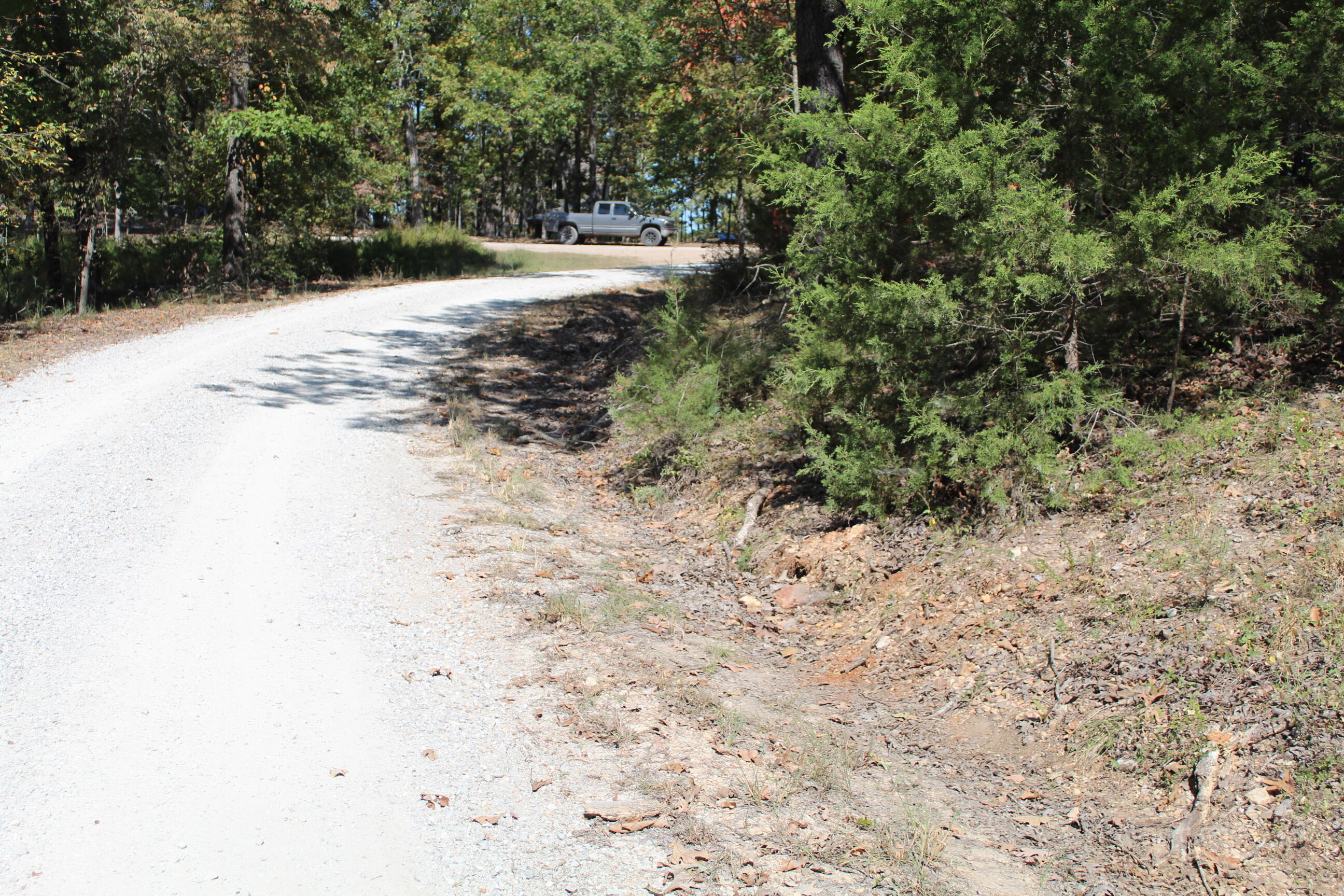 Photo 13 - Land for sale – 000  Blue Lake Drive  Protem, MO