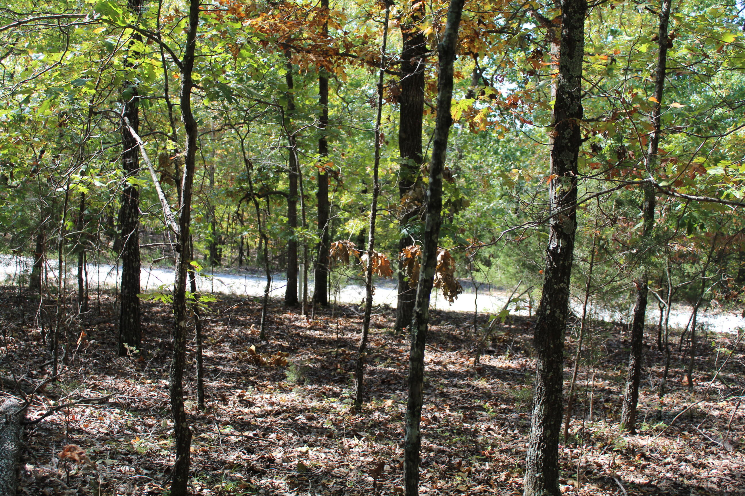 Photo 10 - Land for sale – 000  Blue Lake Drive  Protem, MO