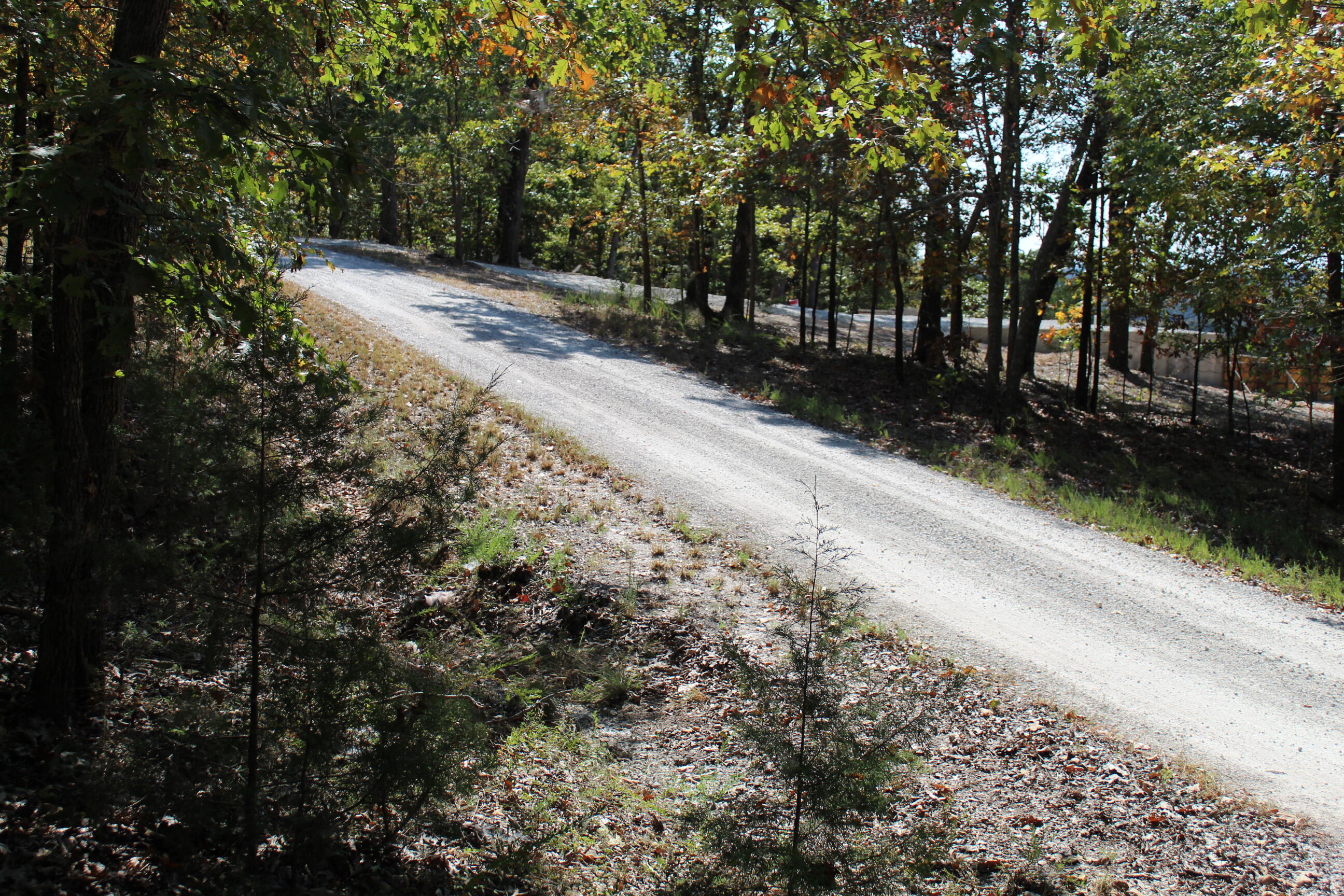 Photo 9 - Land for sale – 000  Blue Lake Drive  Protem, MO