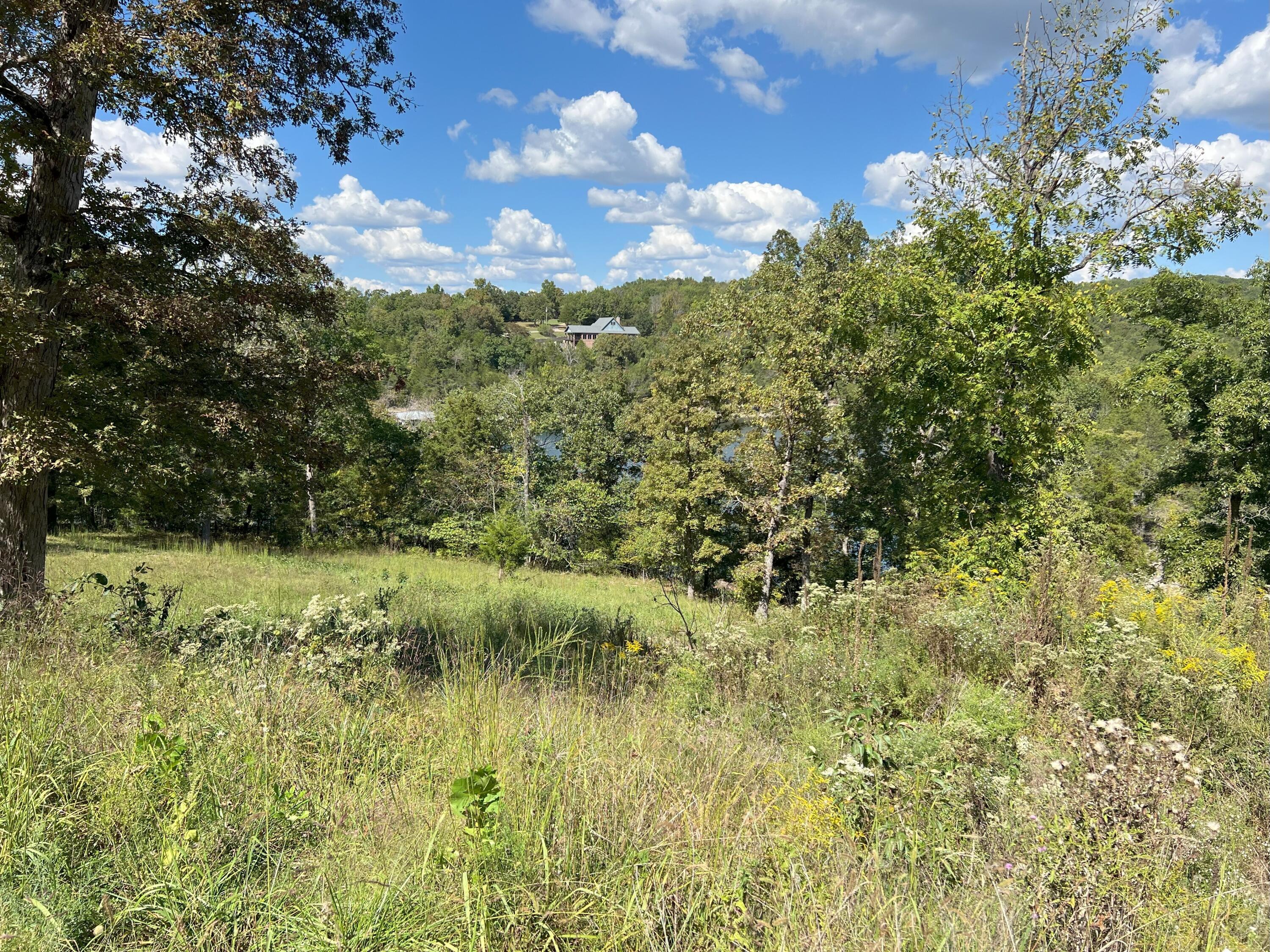 Photo 3 - Land for sale – #8  Ledge Rock   Omaha, AR