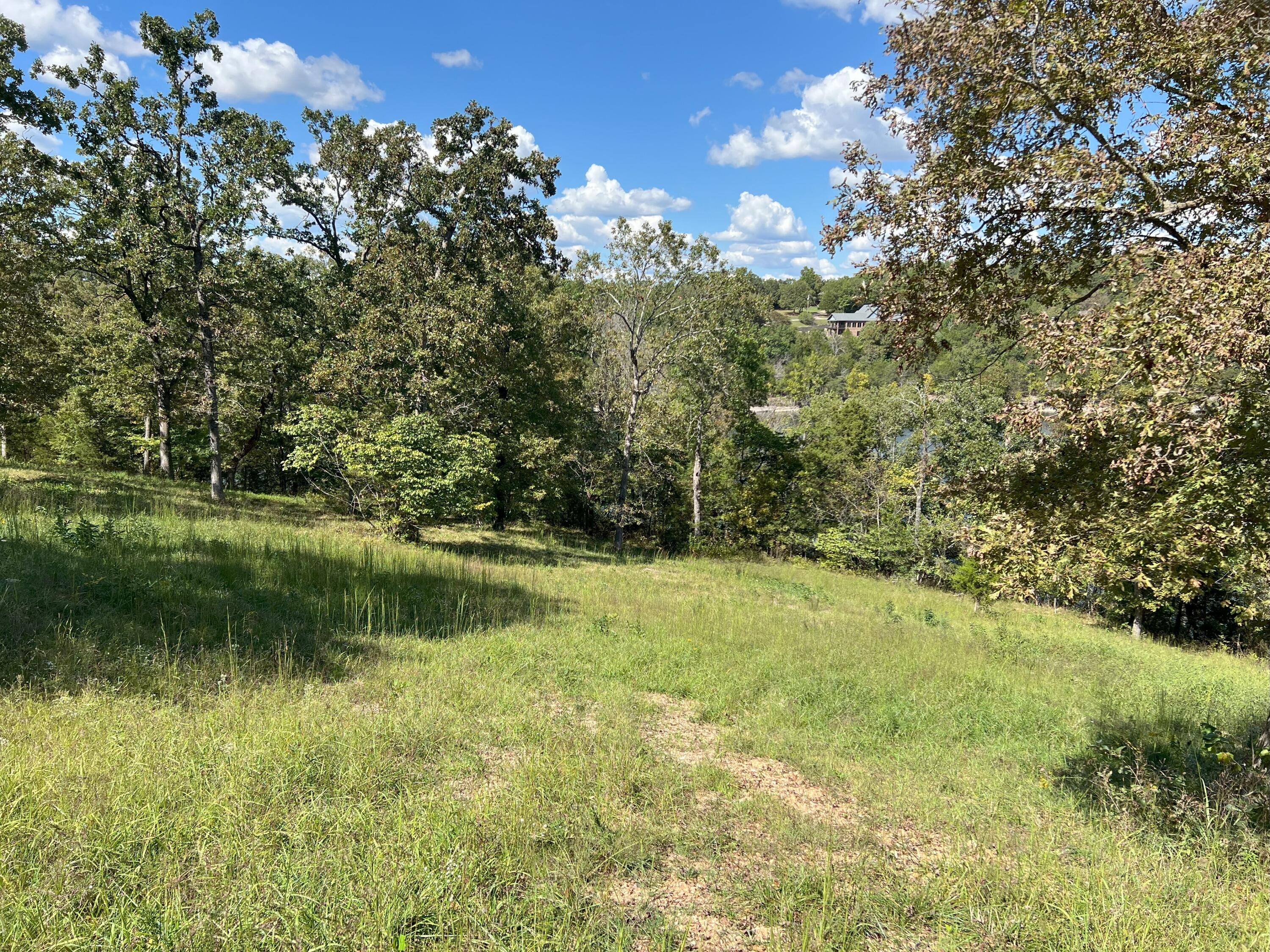 Photo 4 - Land for sale – #8  Ledge Rock   Omaha, AR