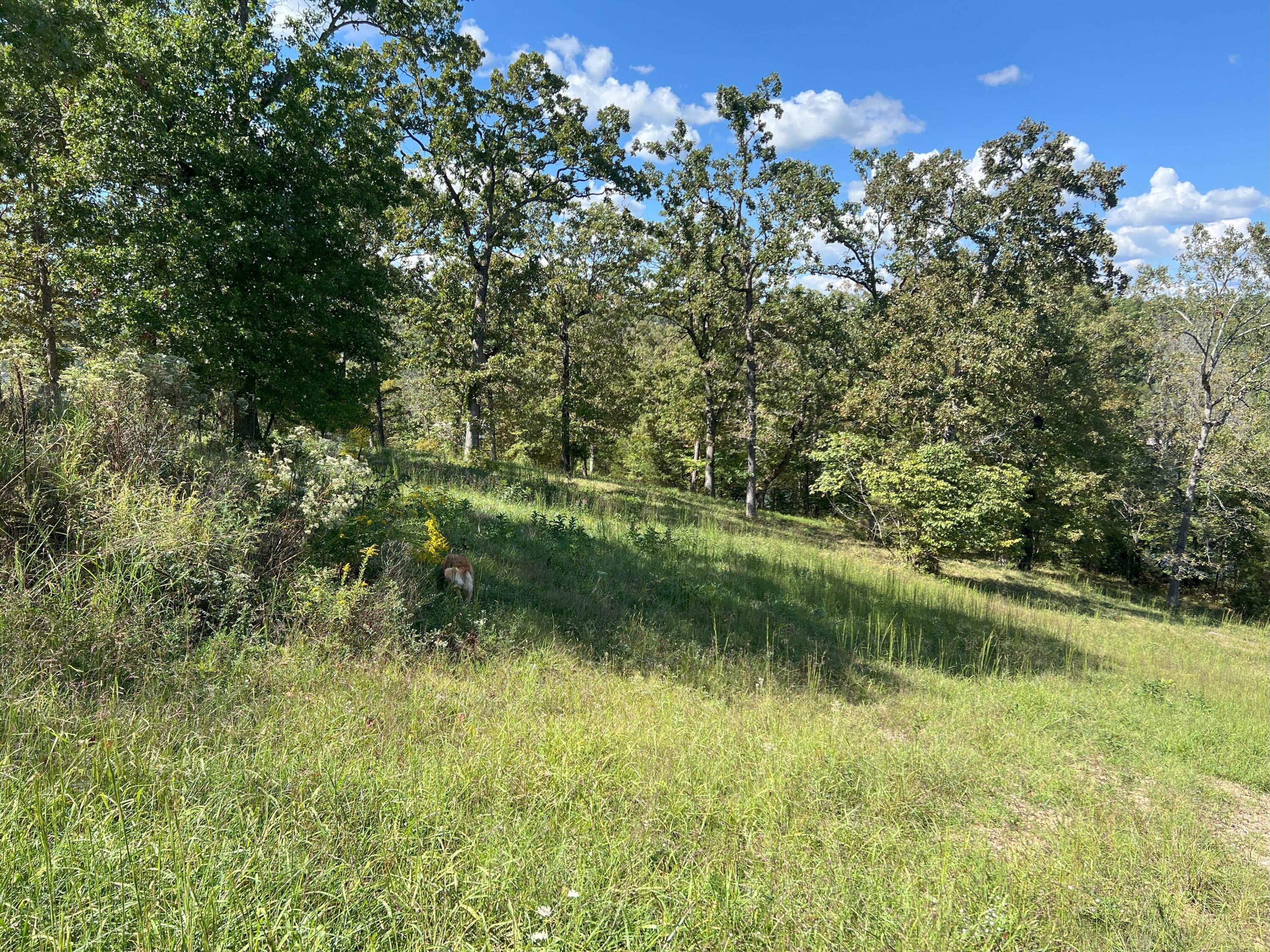 Photo 6 - Land for sale – #9  Ledge Rock   Omaha, AR