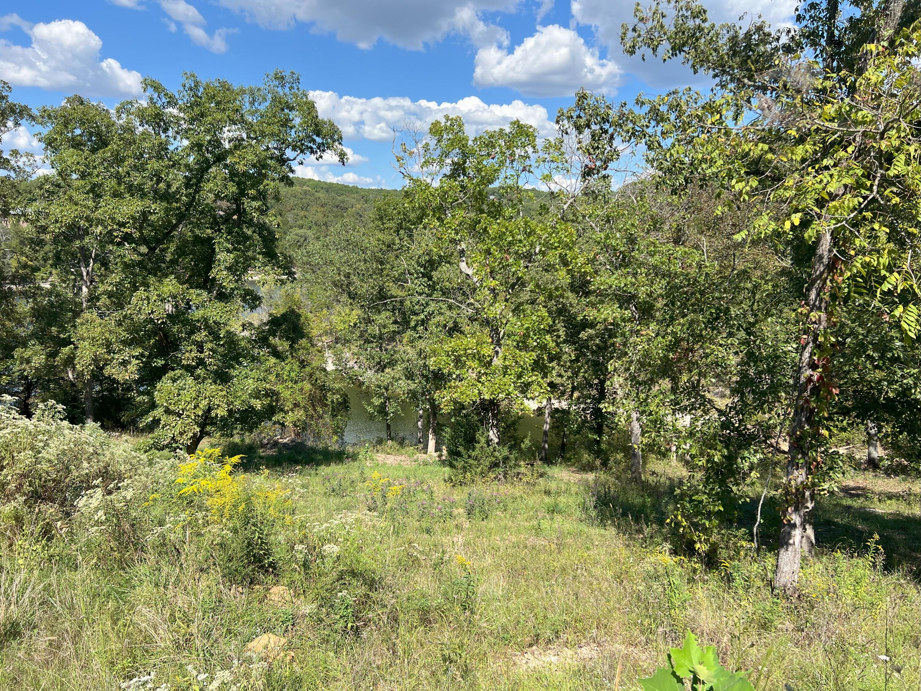 Photo 4 - Land for sale – #9  Ledge Rock   Omaha, AR