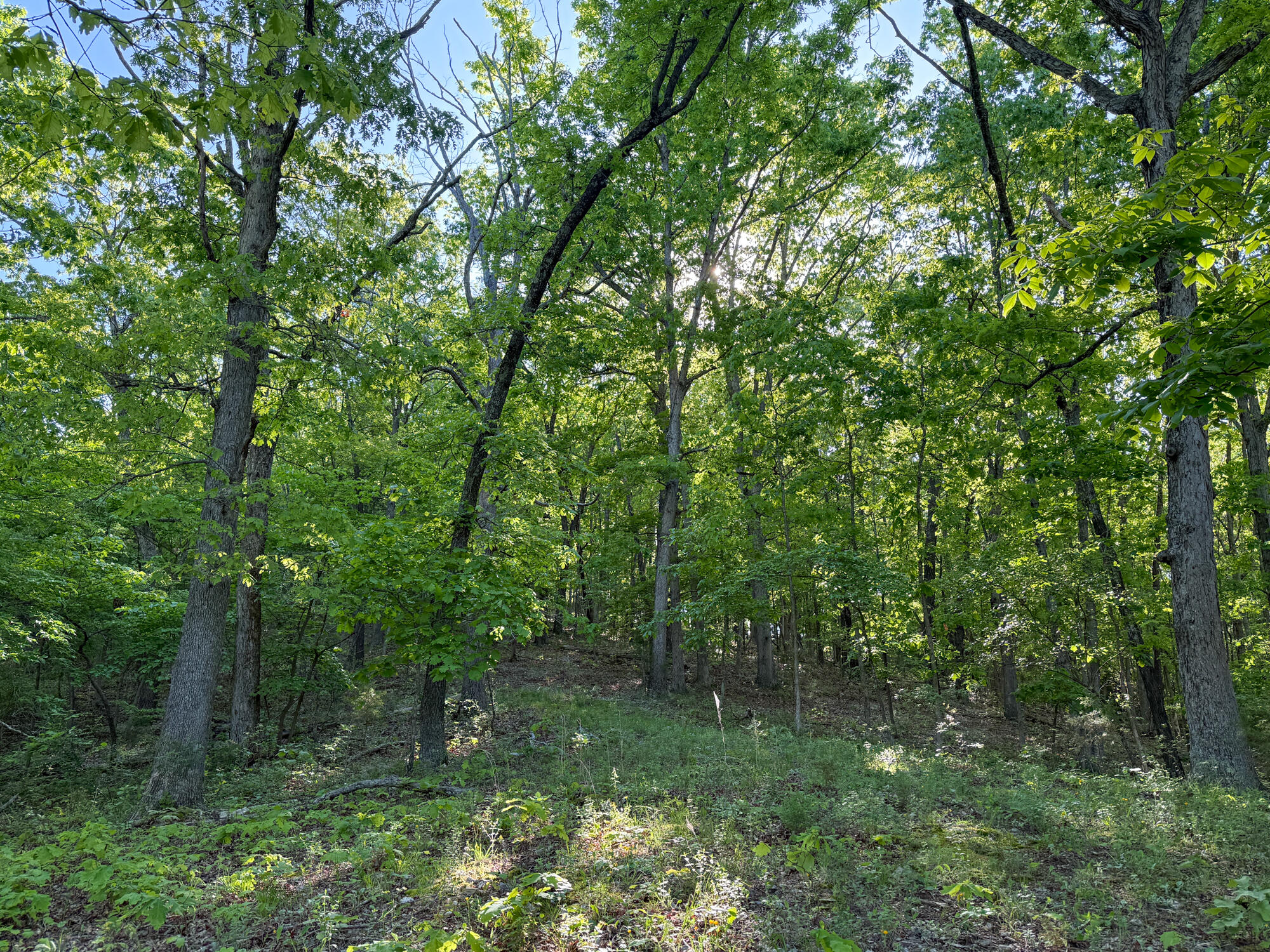 Photo 64 - Residential for sale – 13060  Highway Ee   Cabool, MO