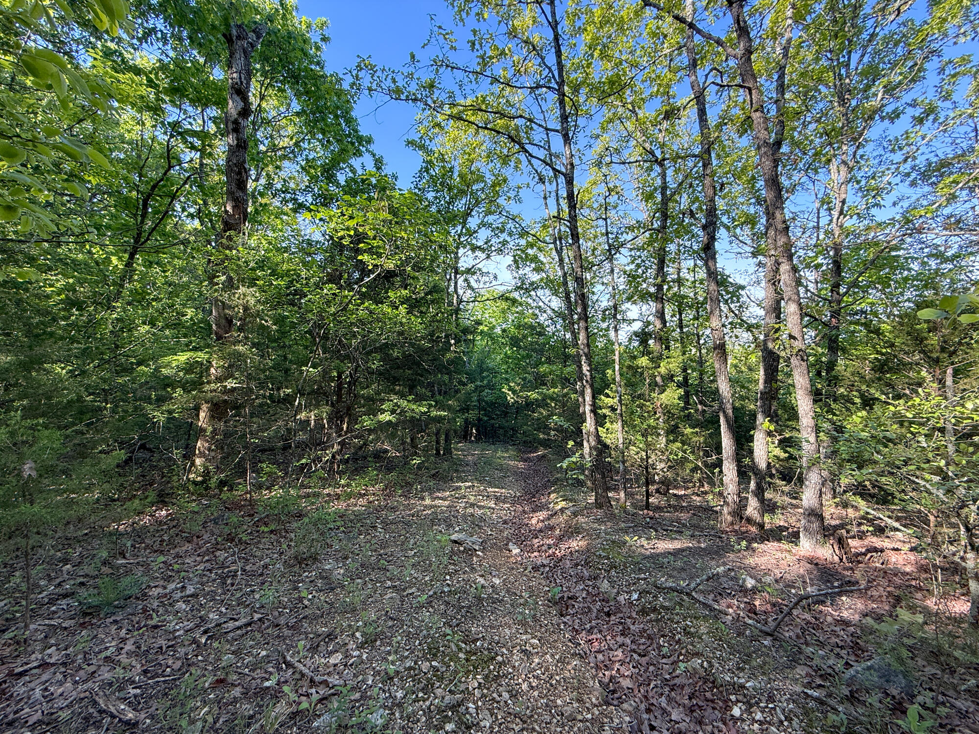 Photo 35 - Residential for sale – 13060  Highway Ee   Cabool, MO